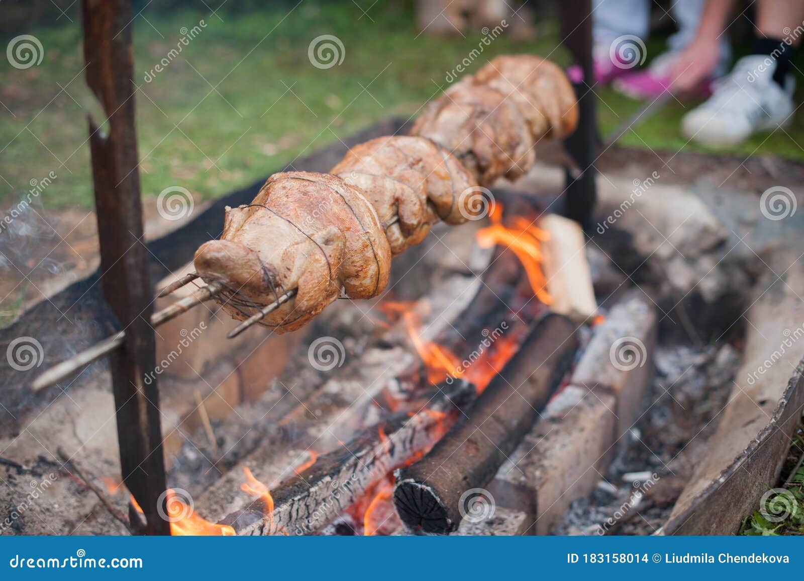 Whole Chicken on an Open Fire, on a Spit Stock Photo Image of lechon