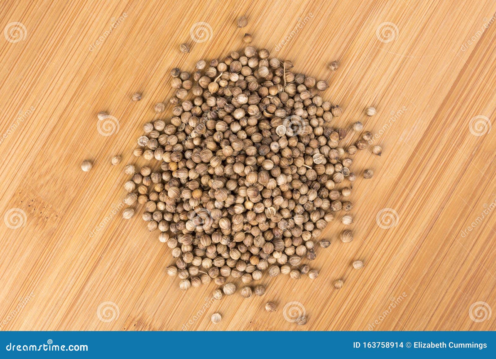 Whole Cilantro Coriander Seed Spice Herb for Cooking Stock Photo