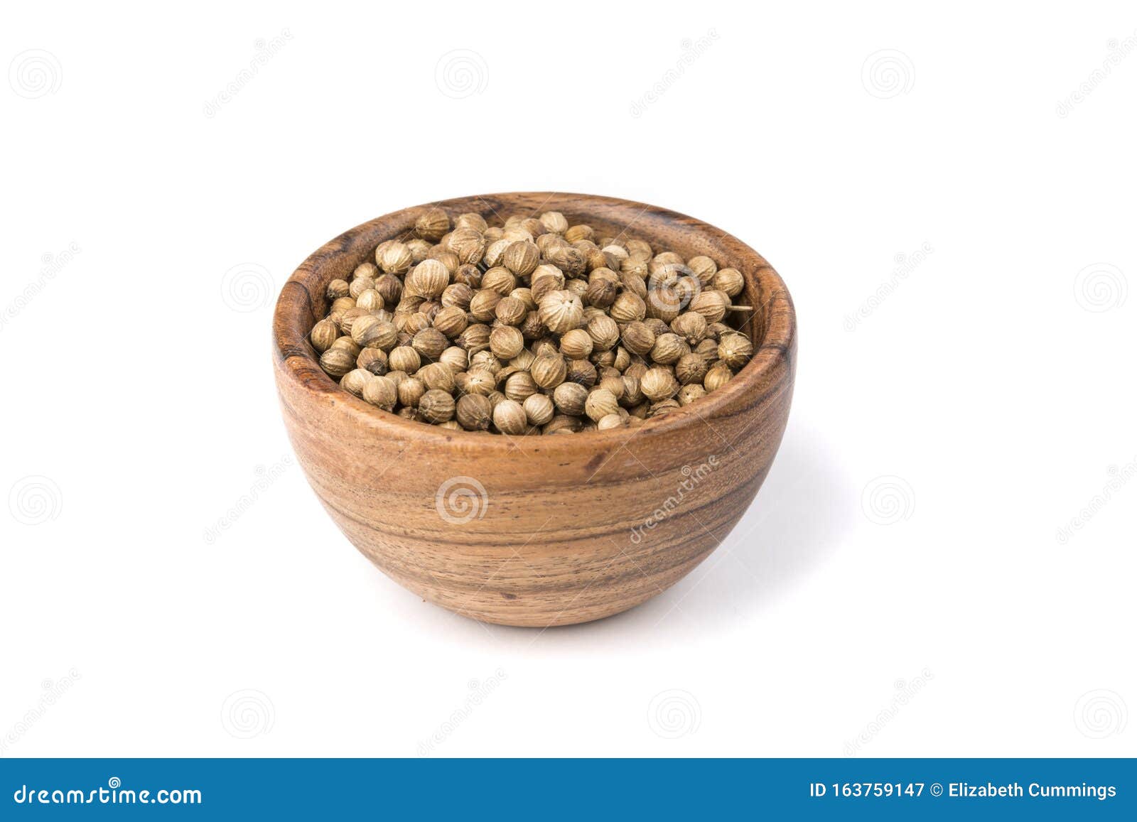 Whole Cilantro Coriander Seed Spice Herb for Cooking Stock Image