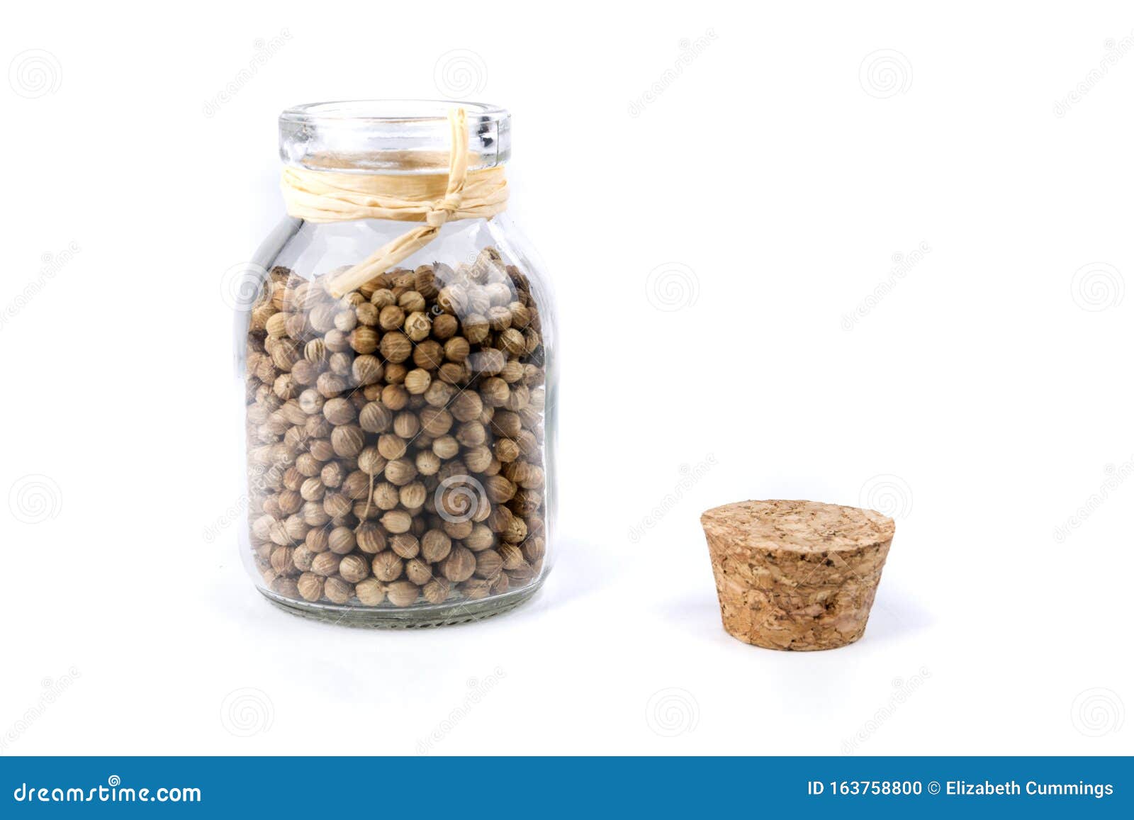 Whole Cilantro Coriander Seed Spice Herb for Cooking in a Bottle Stock