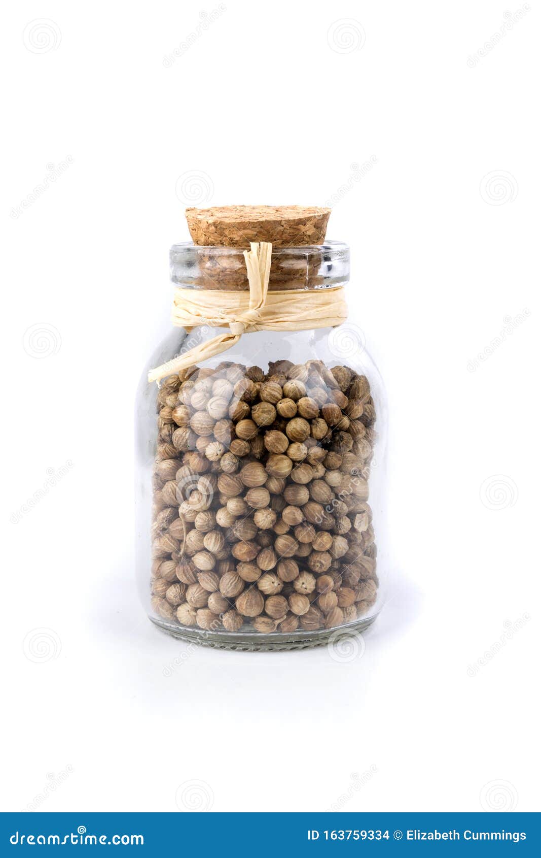 Whole Cilantro Coriander Seed Spice Herb for Cooking in a Bottle Stock