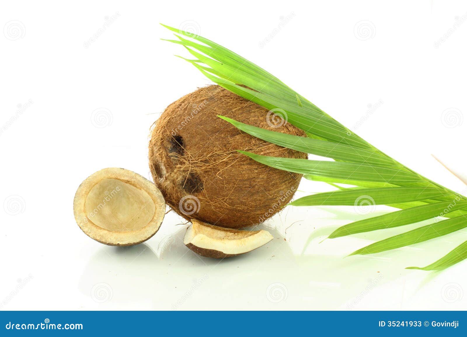 Whole Coconut with Dry Coconut Stock Image Image of recipes, cuisine