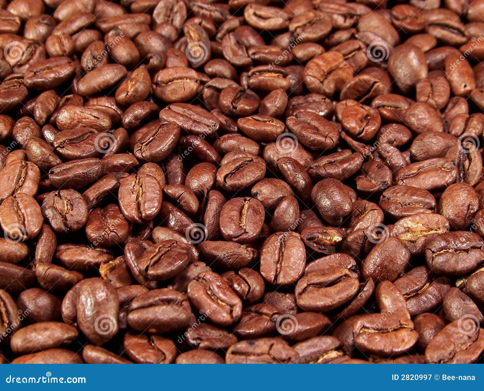 Whole Coffee Beans stock image. Image of beans, coffee 2820997