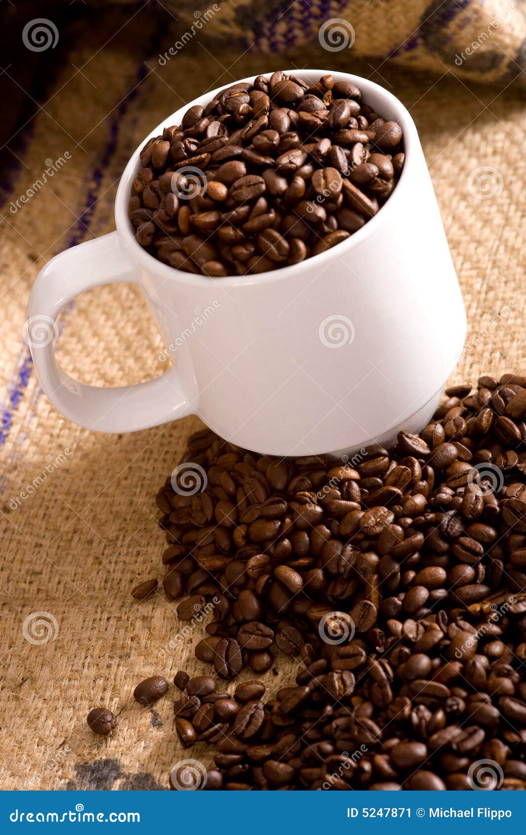 Whole Coffee Beans in Cup stock image. Image of object 5247871