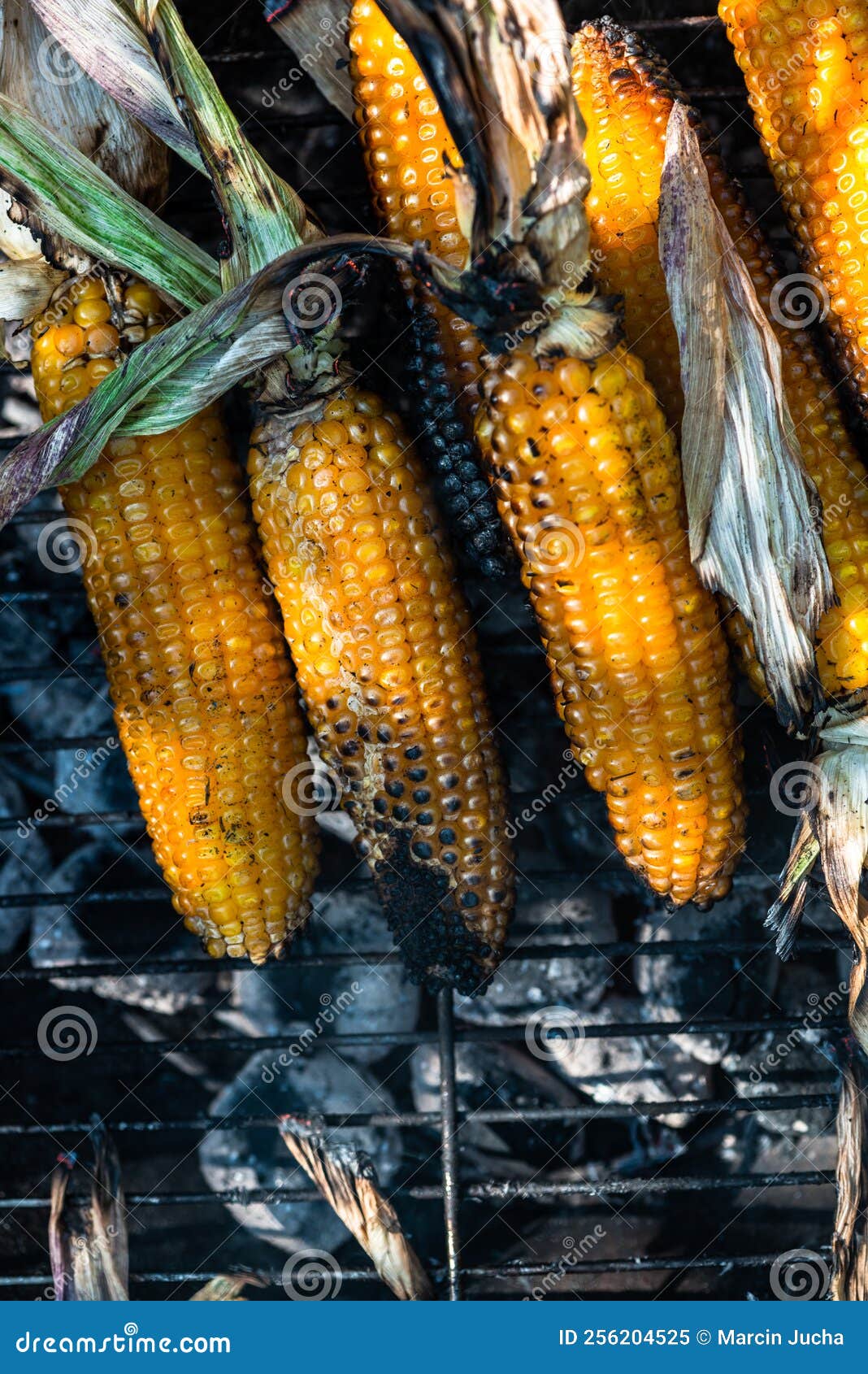 Whole Corn Cobs Roasted on Hot Coal Stock Image Image of healthy