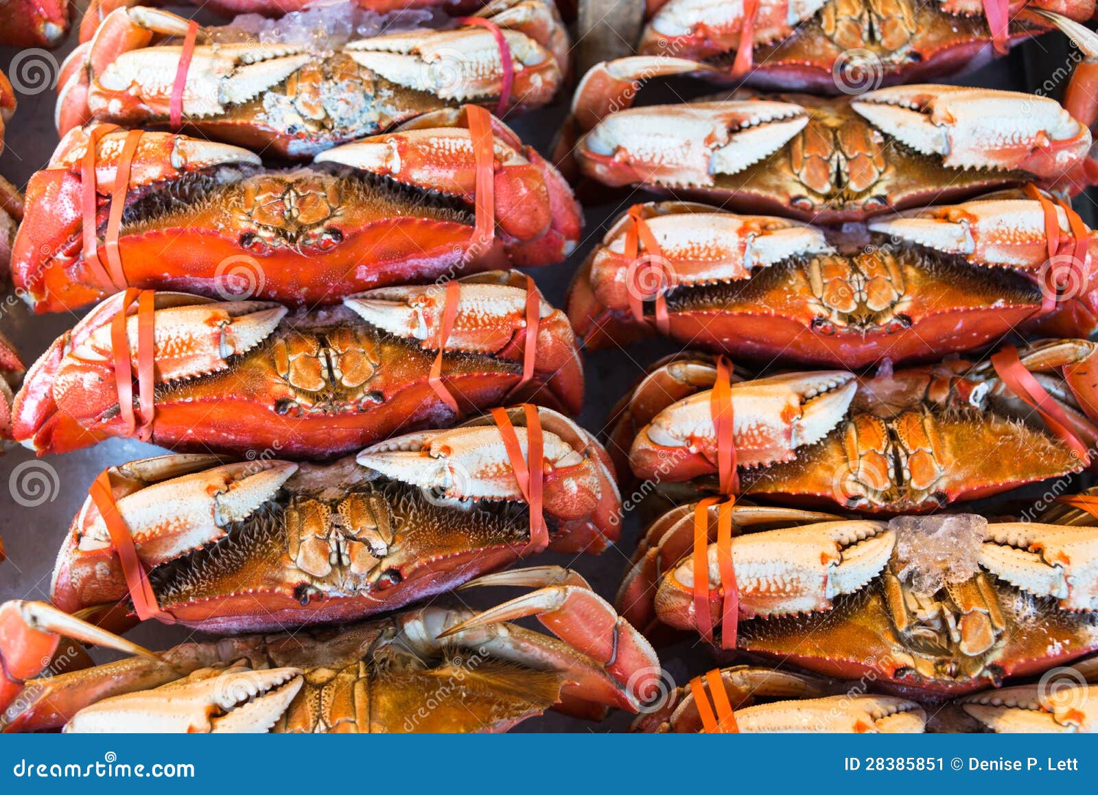 Whole Dungeness Crab In Dinner Setting On Wooden Table In Top View