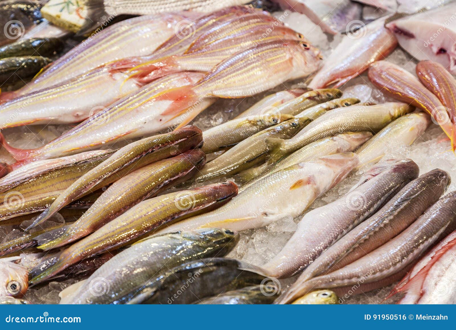 Whole Fresh Fishes Are Offered In The Fish Market Stock Photo Image