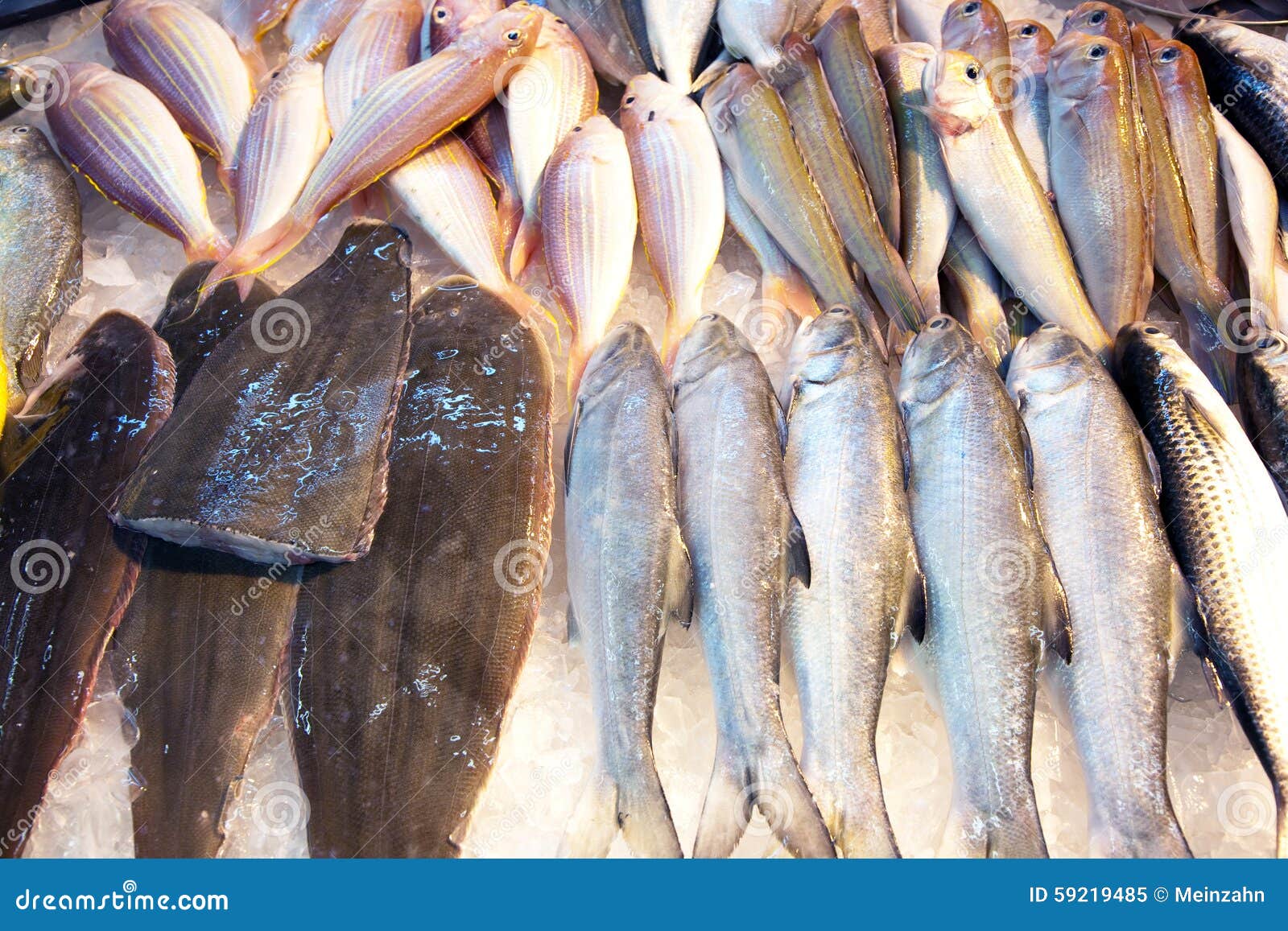 Whole Fresh Fishes Are Offered In The Fish Market In Asia Stock Image