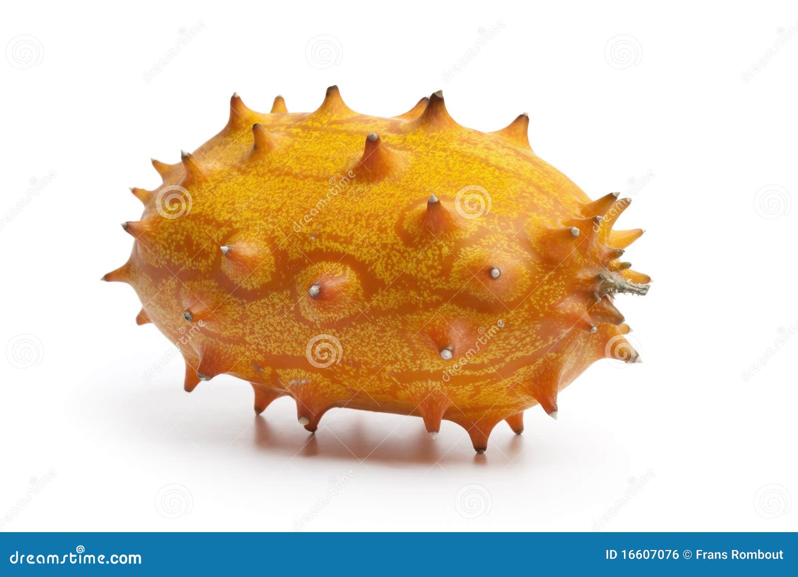 Whole fresh kiwano fruit stock photo. Image of white 16607076