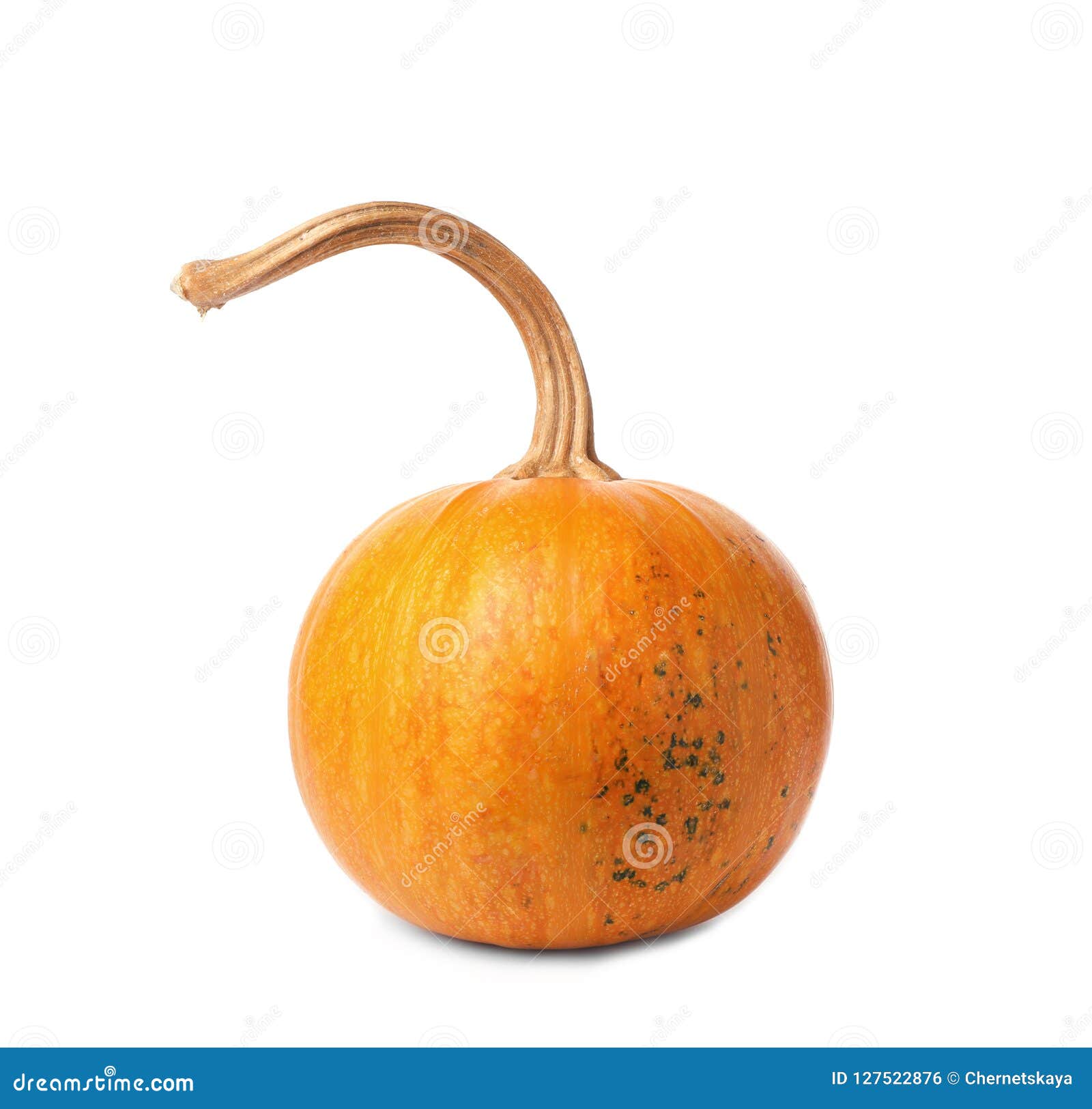 Whole fresh raw pumpkin stock photo. Image of cooking 127522876