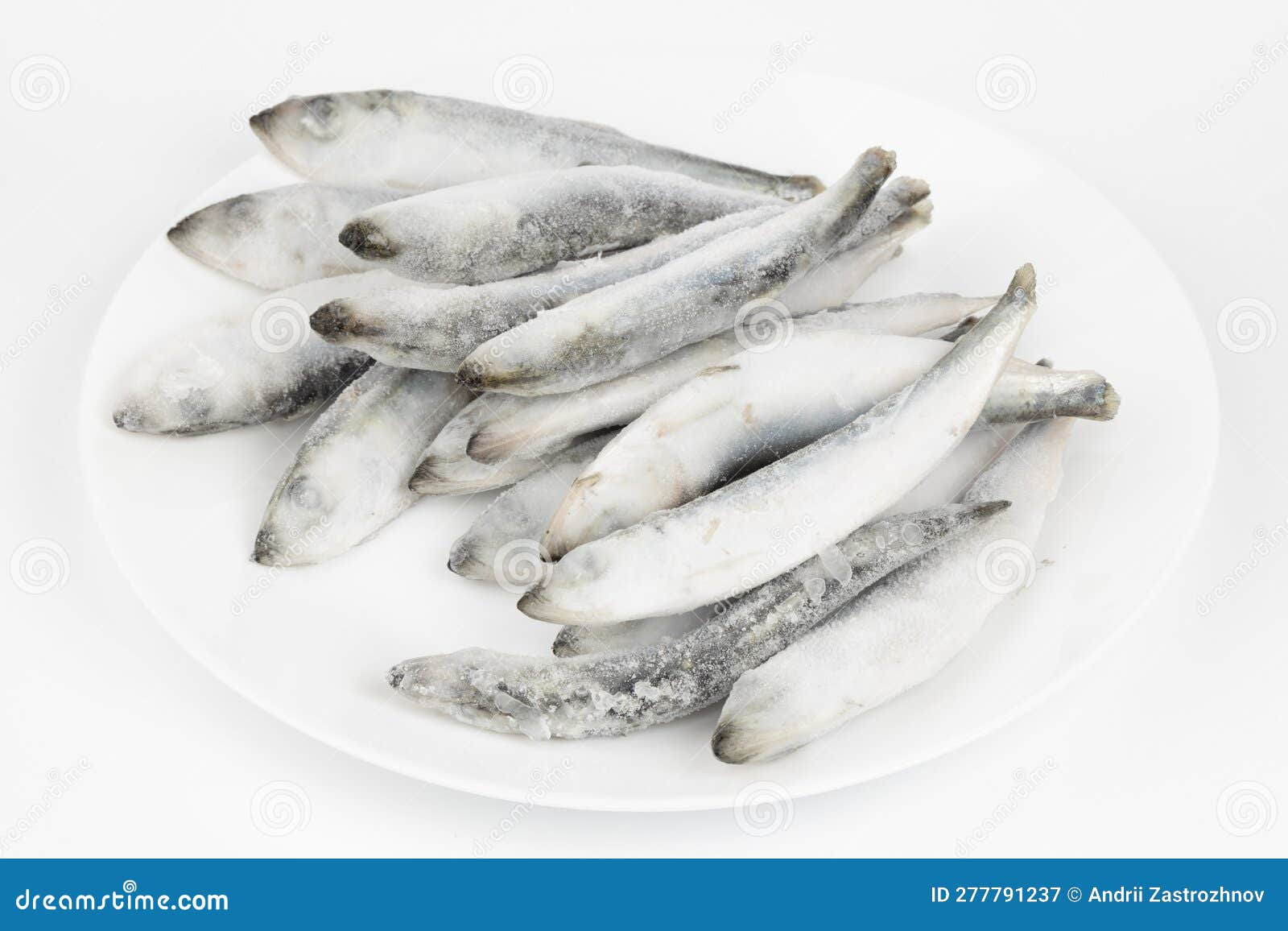 Whole Frozen Wild Sea Herring Isolated on White Background Stock Image Image of marine
