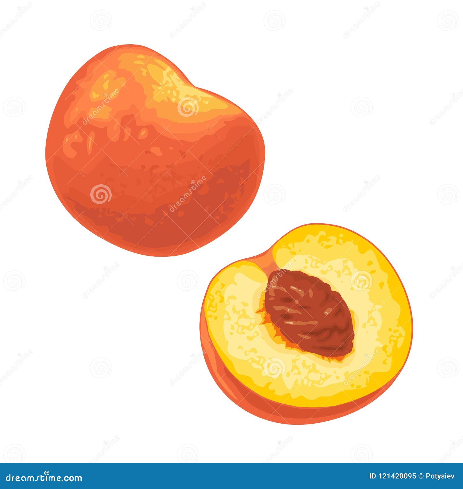 Whole and Half Peach with Seed. Vector Flat Color Stock Vector Illustration of sweet