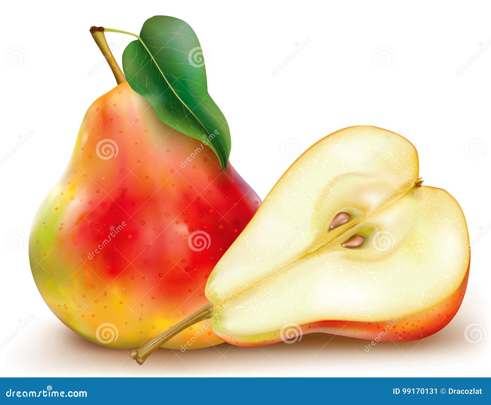 Whole and half pears stock vector. Illustration of vegetarian 99170131