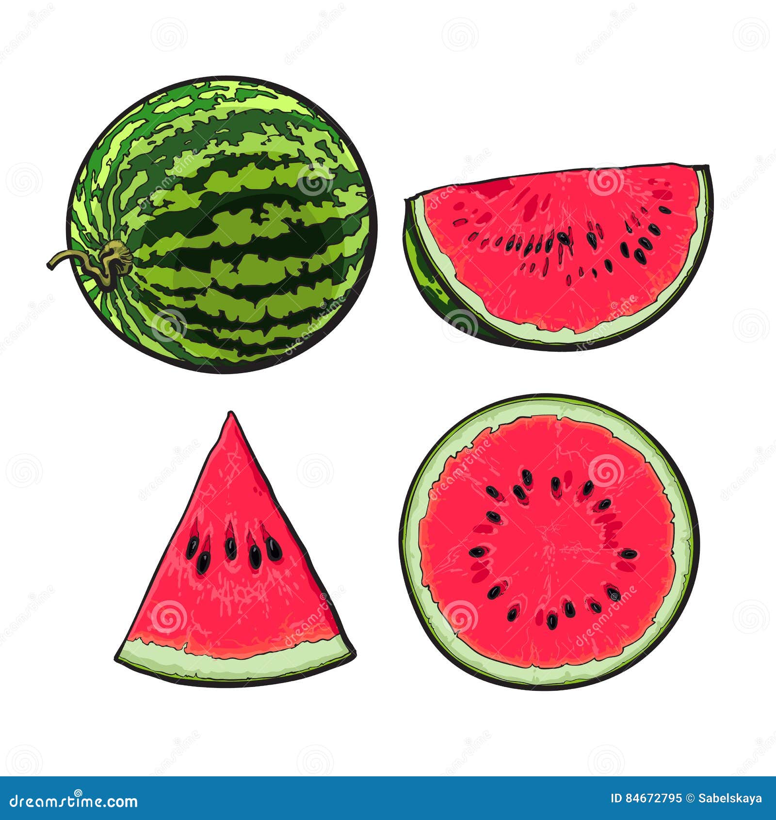Whole green striped watermelon sketch - vector clip art