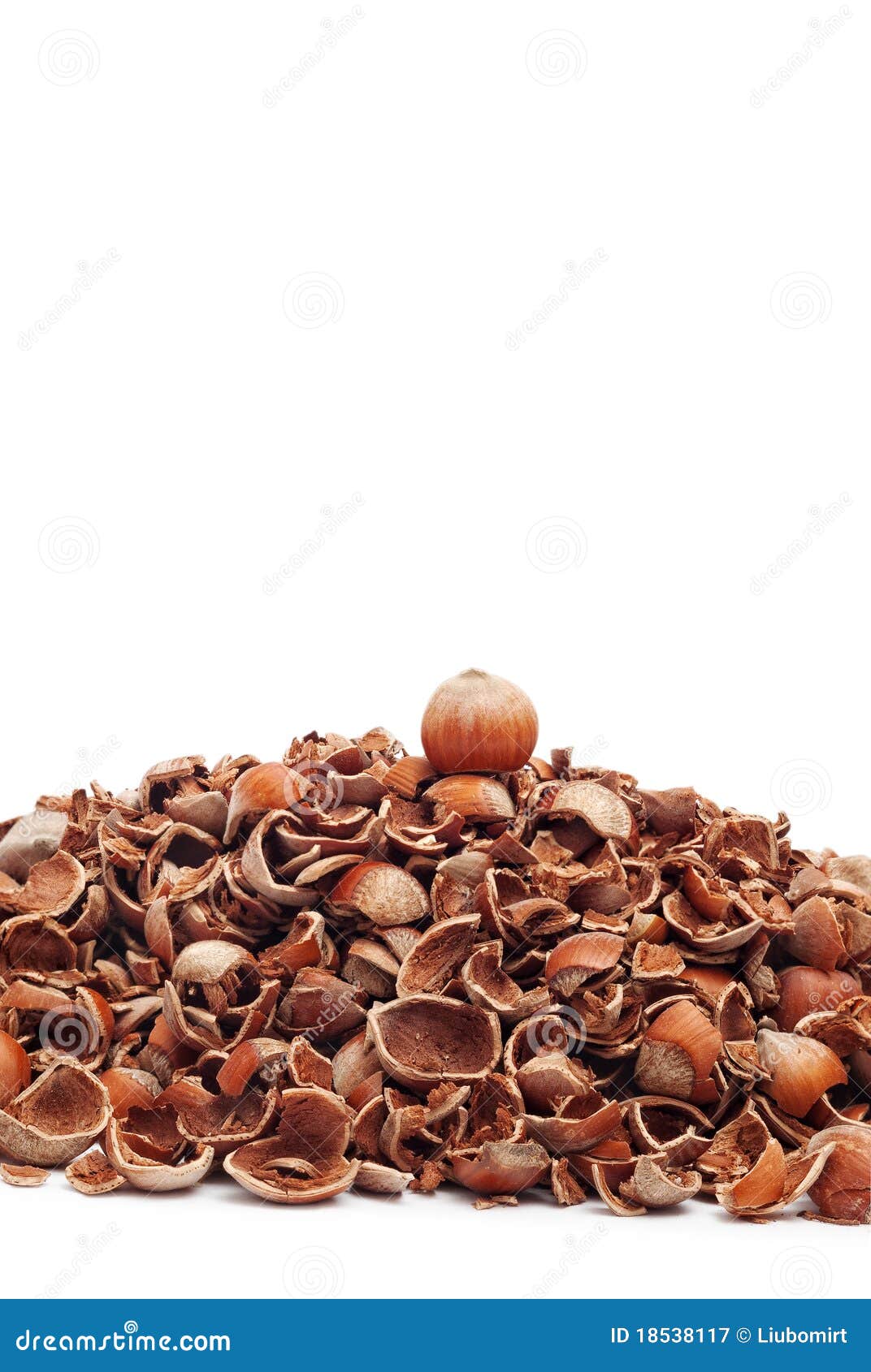 Whole Hazelnut on Top of Cracked Stock Image Image of hazel, edible