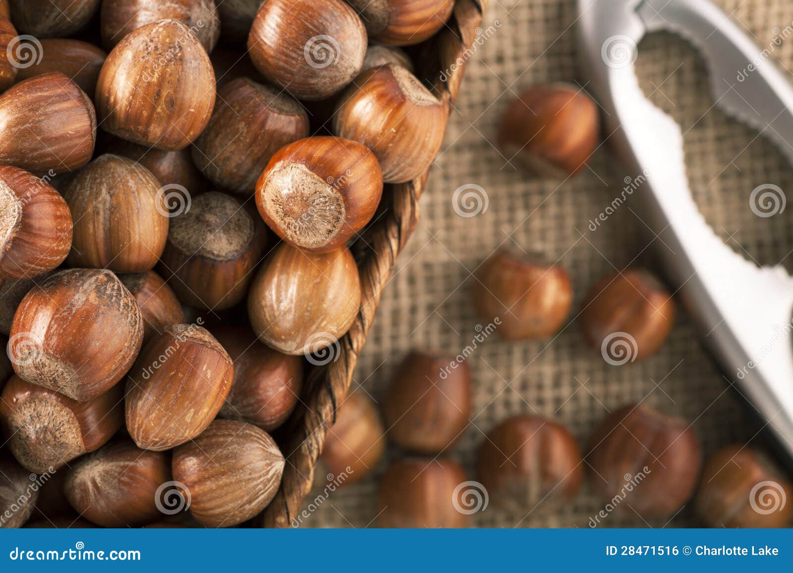 Whole Hazelnuts stock photo. Image of filbert, hazelnut 28471516