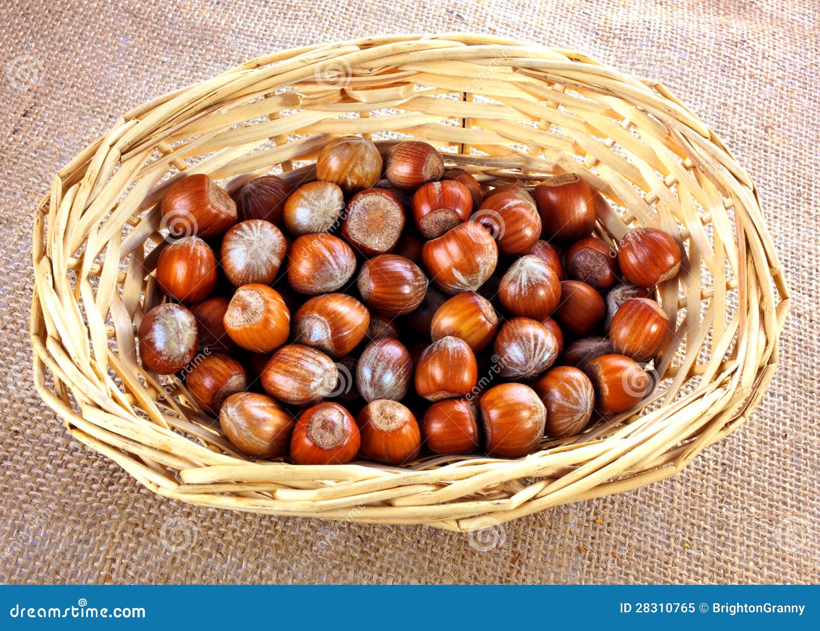 Whole hazelnuts stock image. Image of pile, shiny, material 28310765
