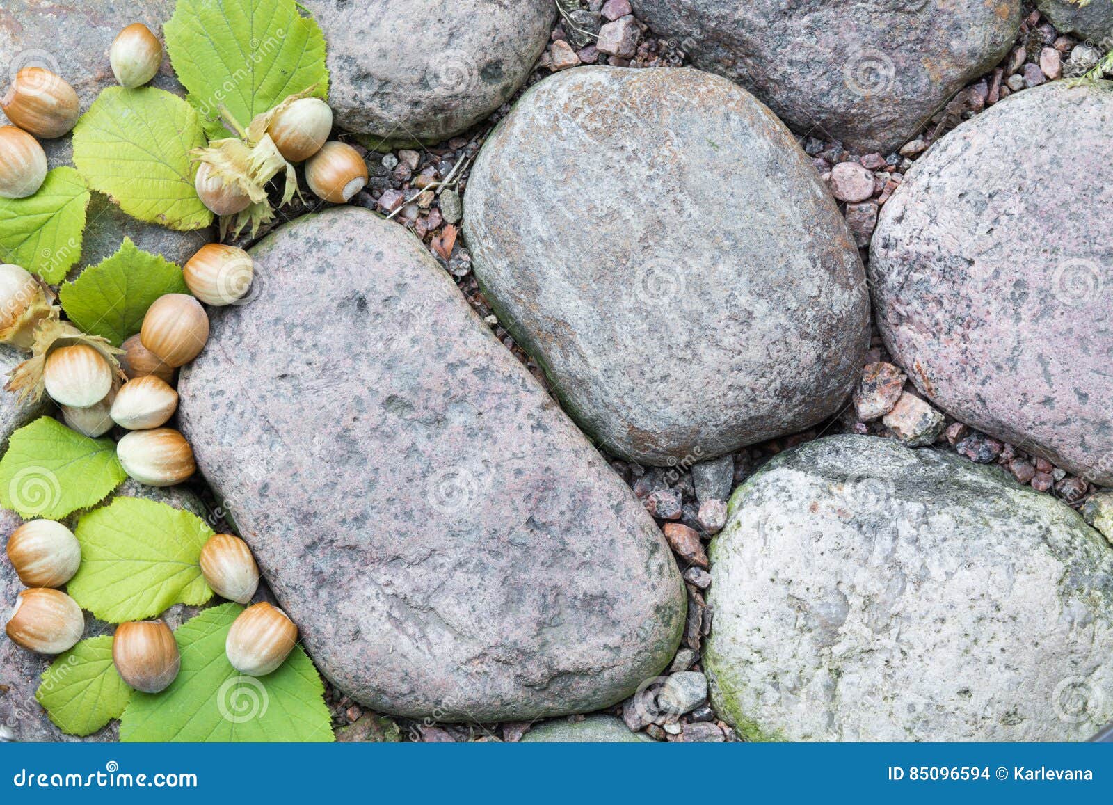 Whole Hazelnuts with Leaves on the Stones Stock Photo Image of stone