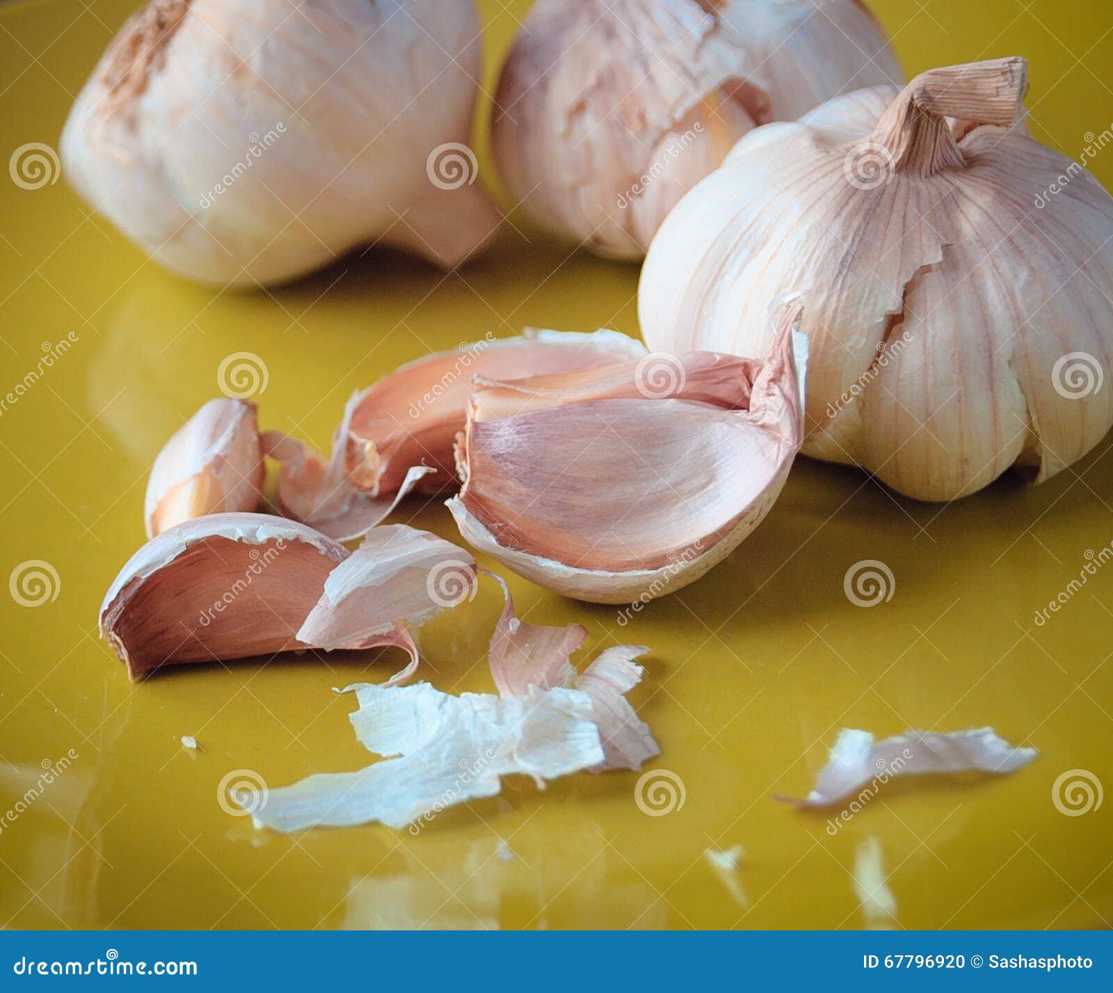 Whole head of garlic stock photo. Image of garlic, head 67796920
