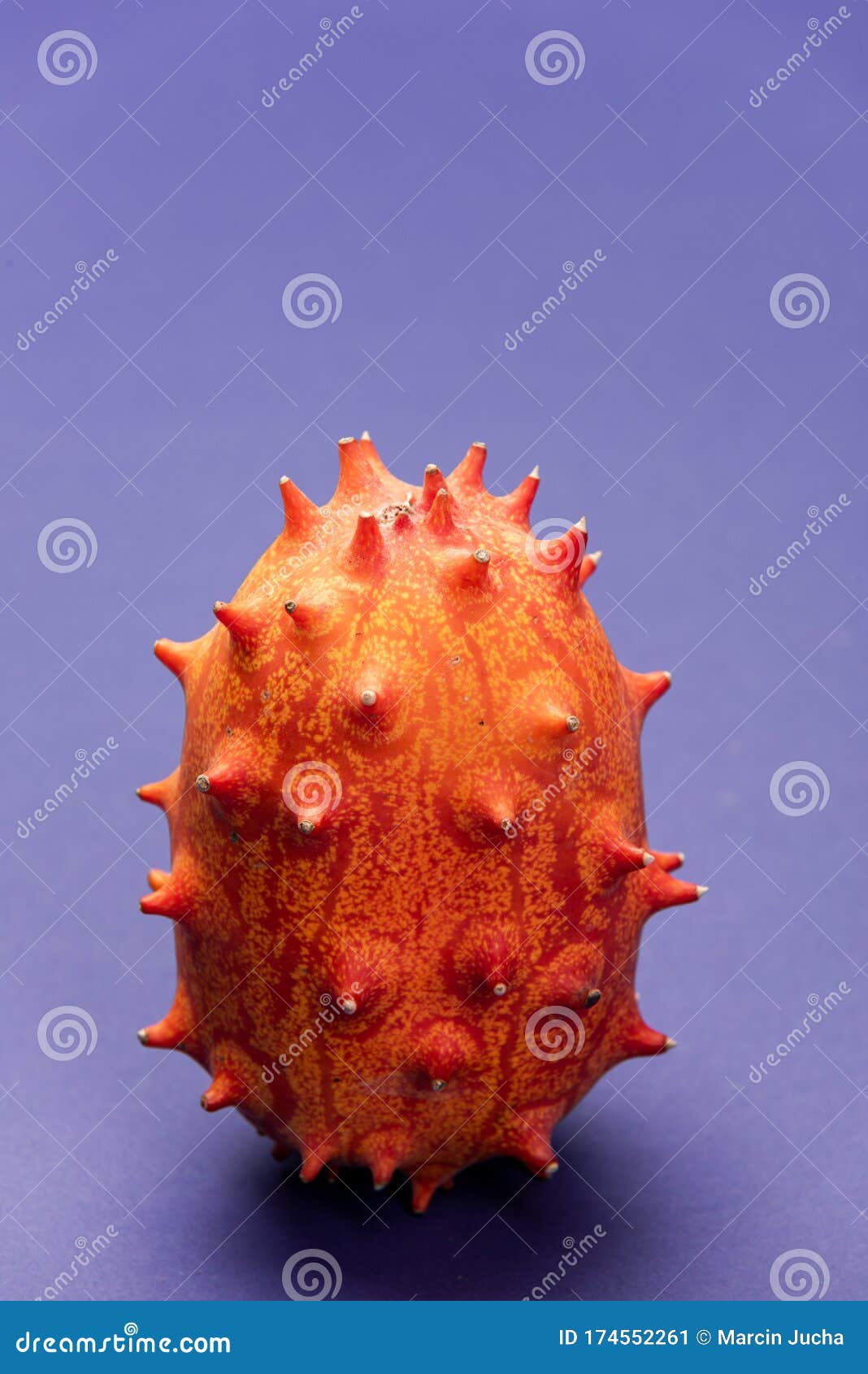 Whole Kiwano or Horned Melon Exotic Fruit on Pastel Background Stock
