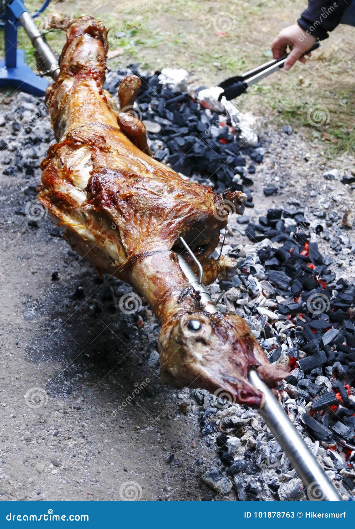 Whole Lamb in the Spit, Rotary Grill Stock Image Image of cook