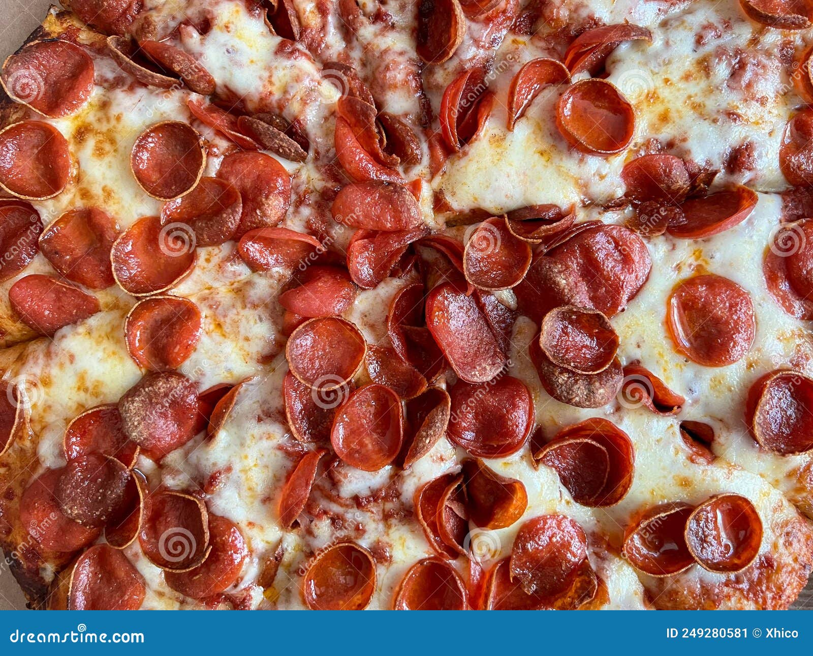 A Whole Large Pepperoni Pizza with Mini Pepperonis Stock Image Image