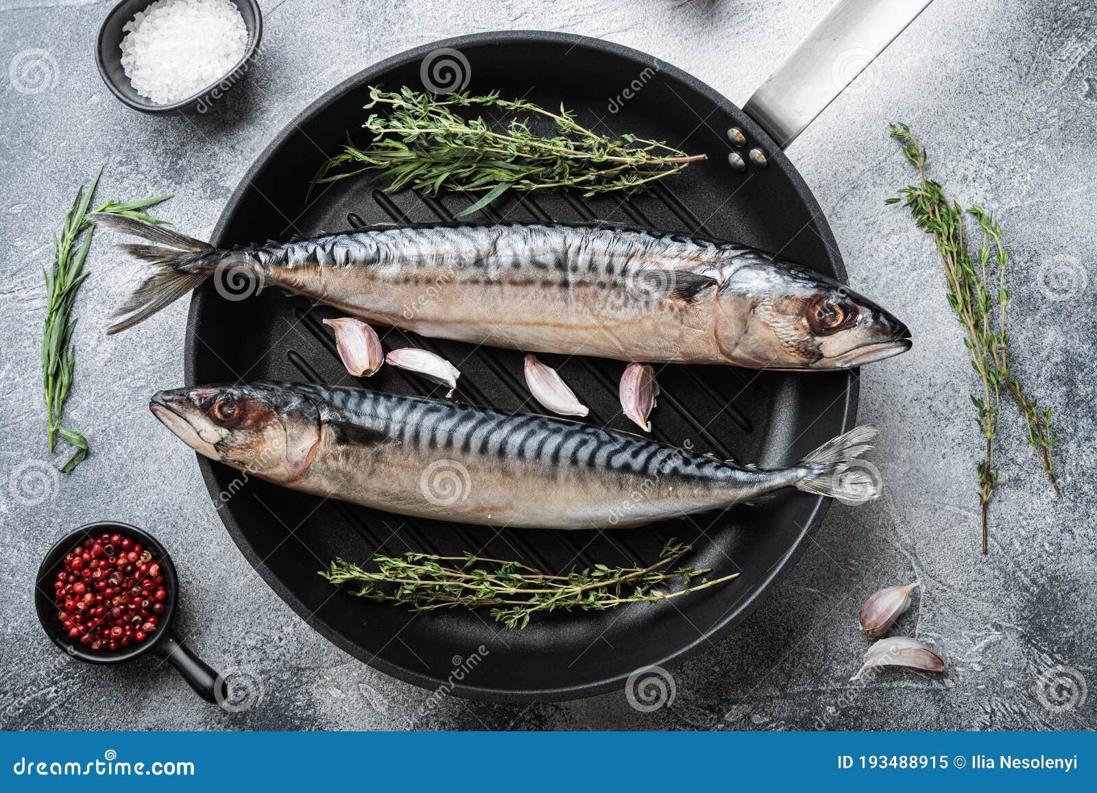 Whole Mackerel Fish with Ingredients on Grey Background, Top View Stock