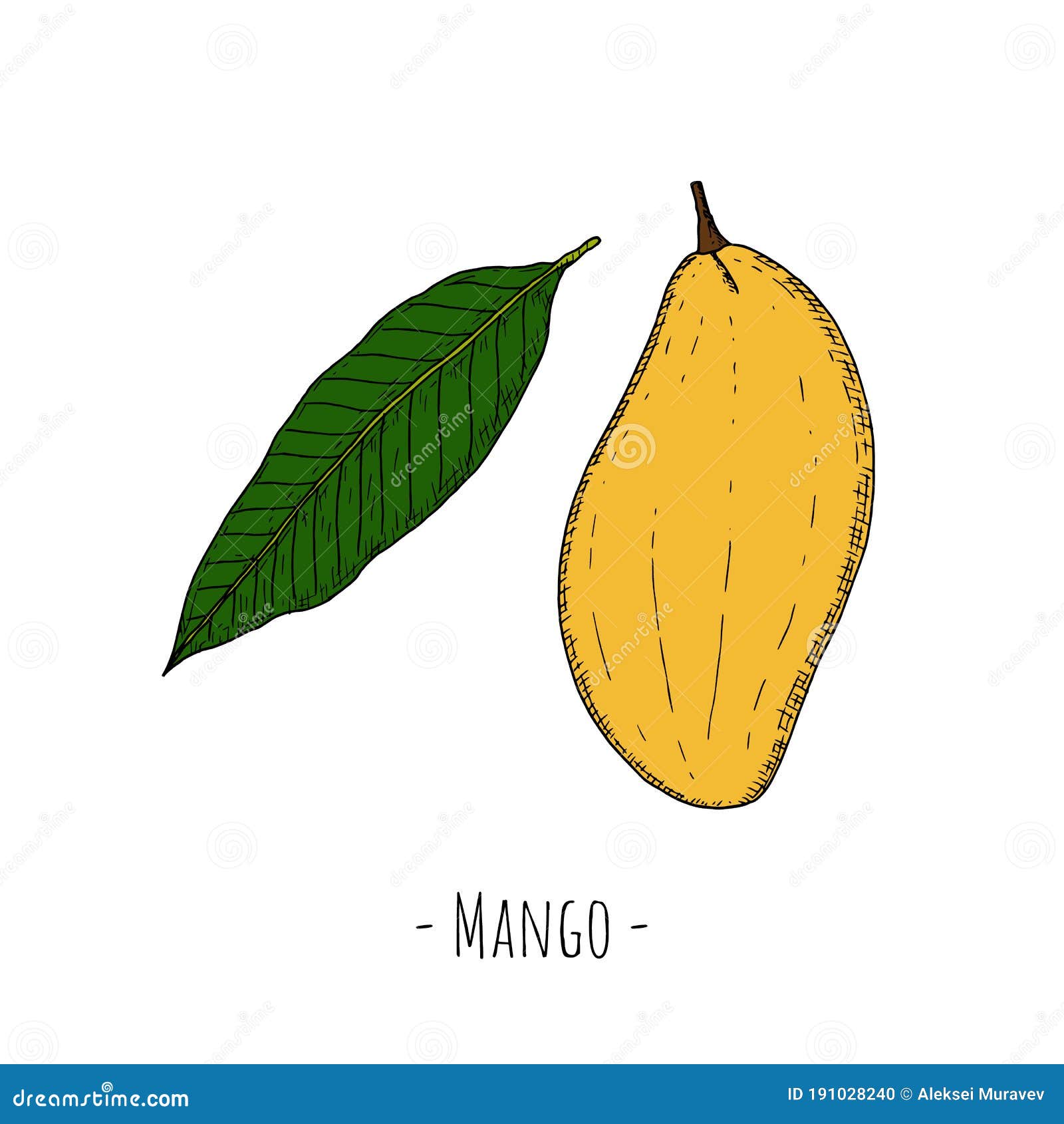 Whole Mango and Mango Leaf. Vector Cartoon Illustrations Stock Vector