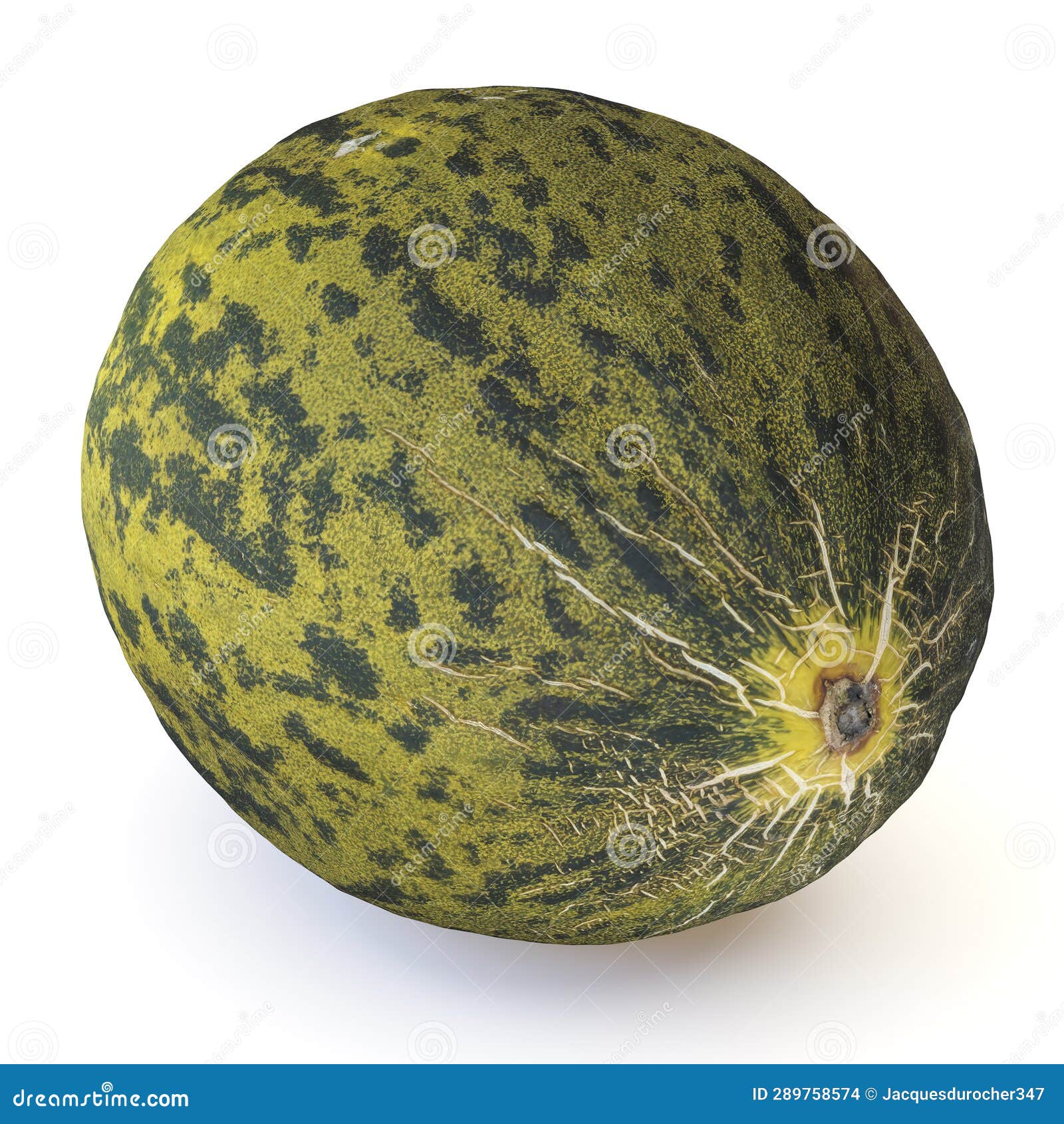My Image 24