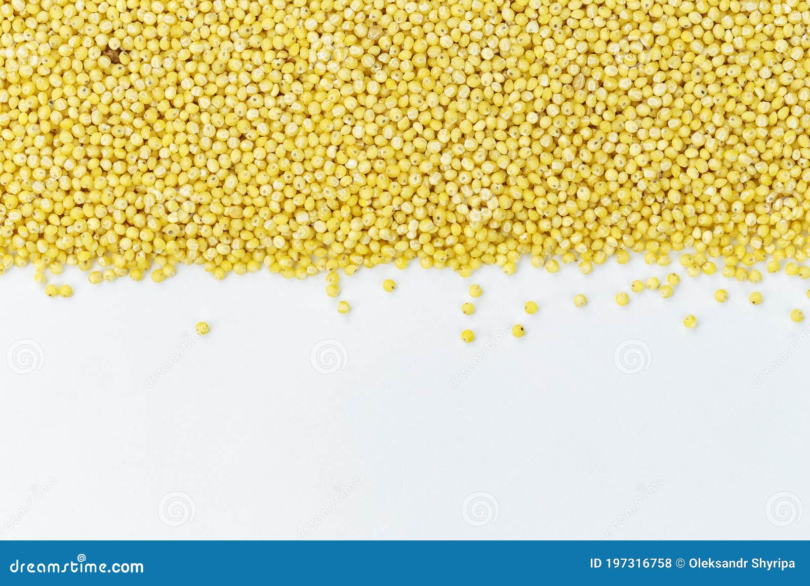 Whole Millet Pearl Grains Isolated on a White Background Stock Photo Image of particle