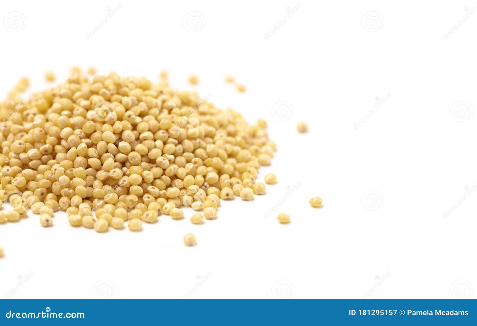 Whole Millet Pearl Grains on a White Background Stock Image Image of pearl 181295157