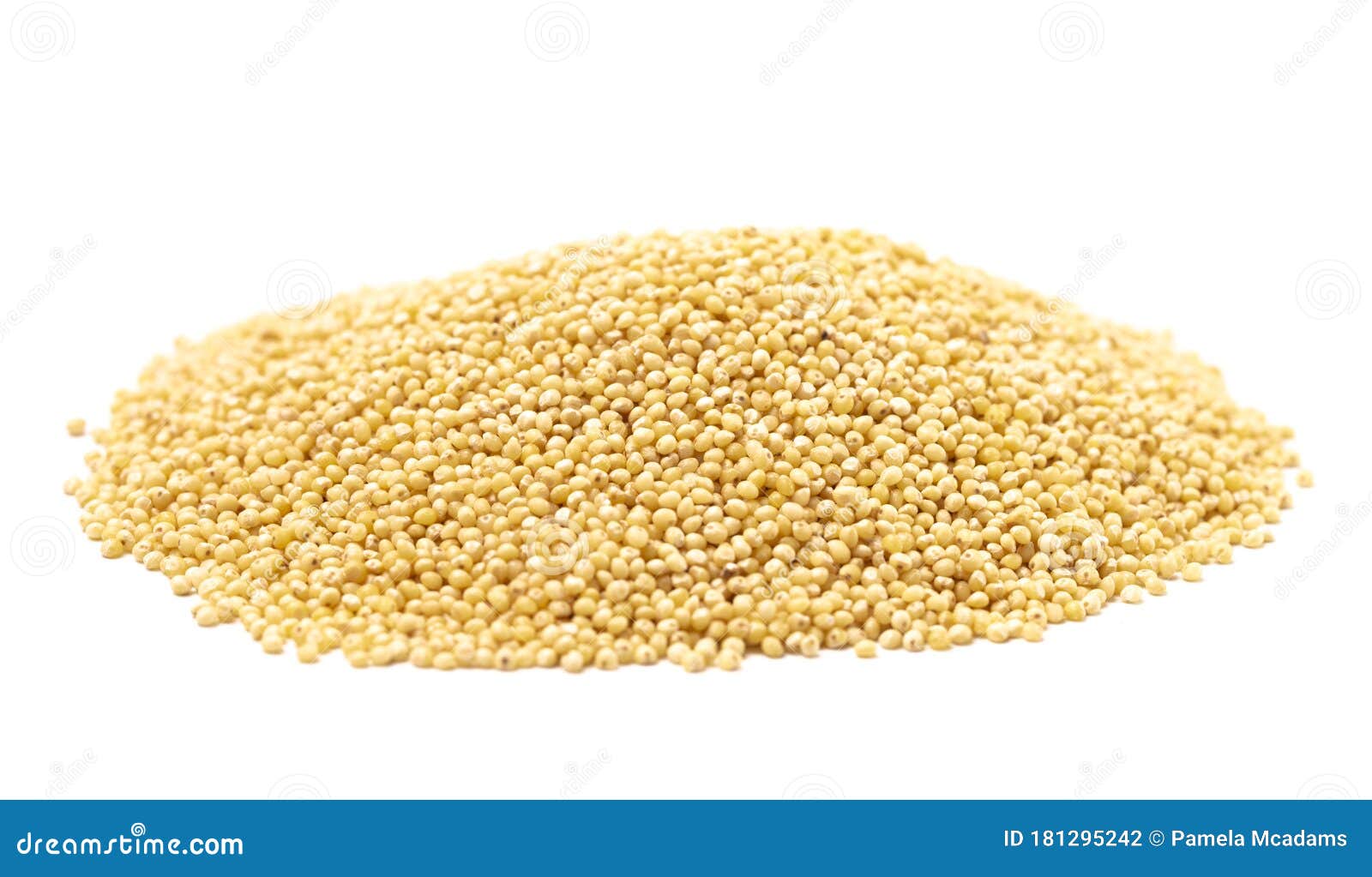 Whole Millet Pearl Grains on a White Background Stock Photo Image of organic, background