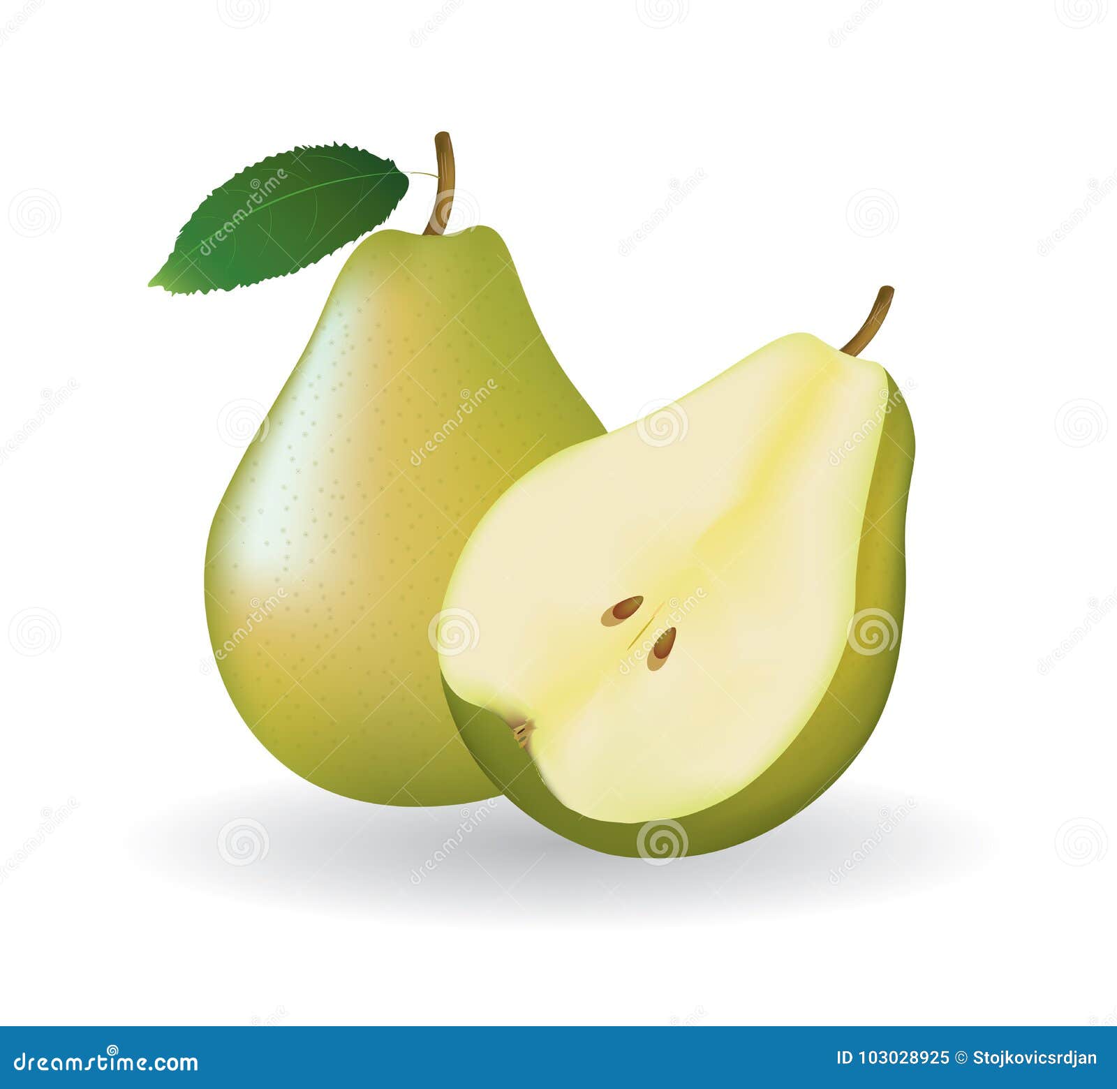 Whole pear and a half stock vector. Illustration of tasty 103028925