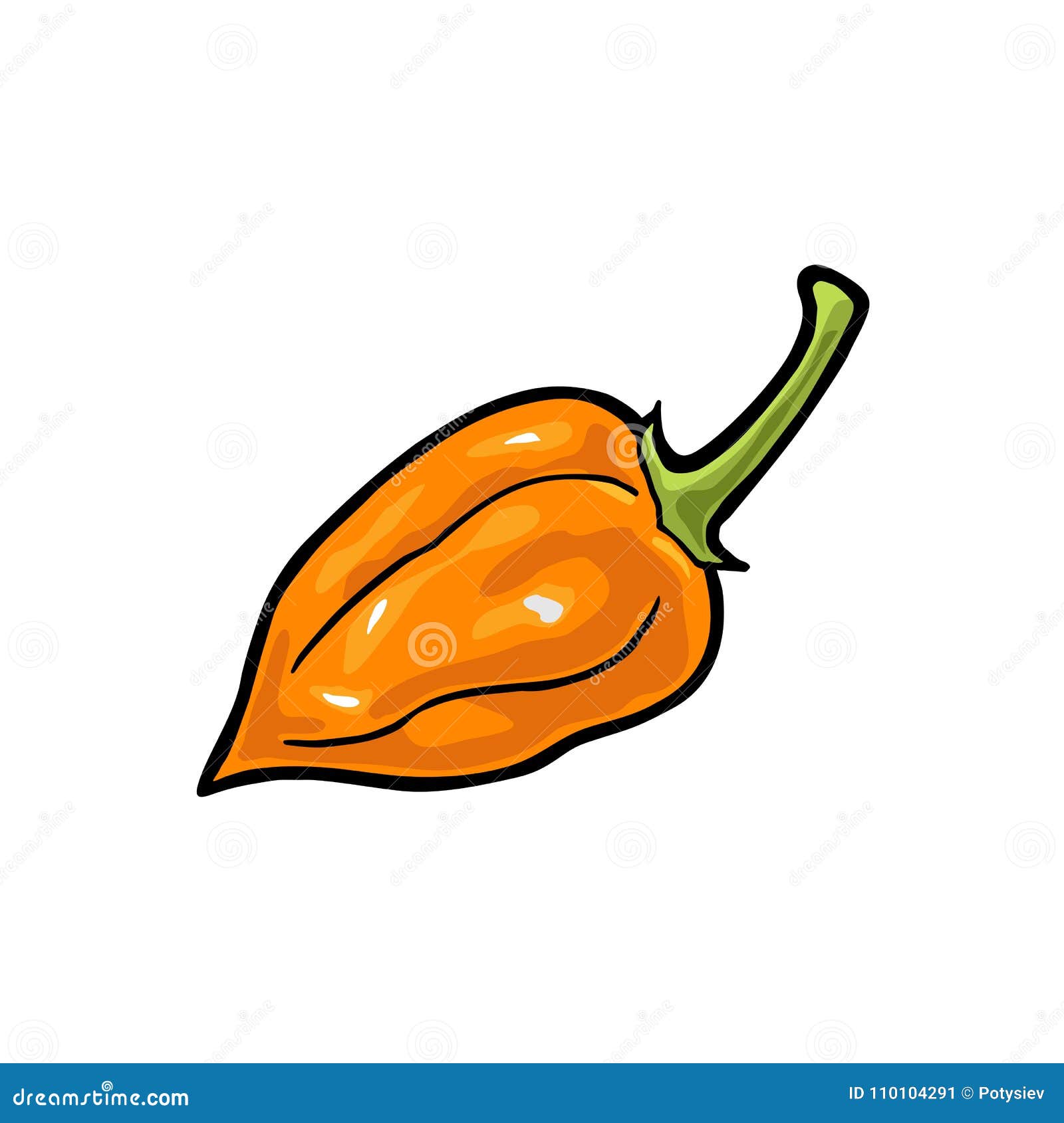 whole pepper habanero.  vintage engraving