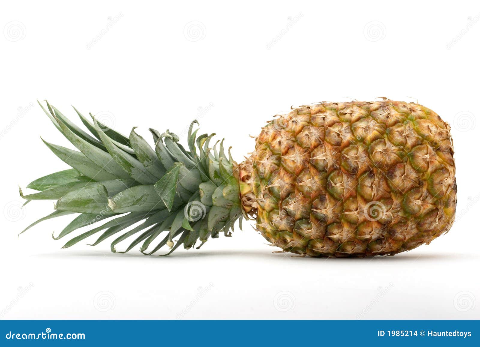 Whole Pineapple Stock Images Image 1985214