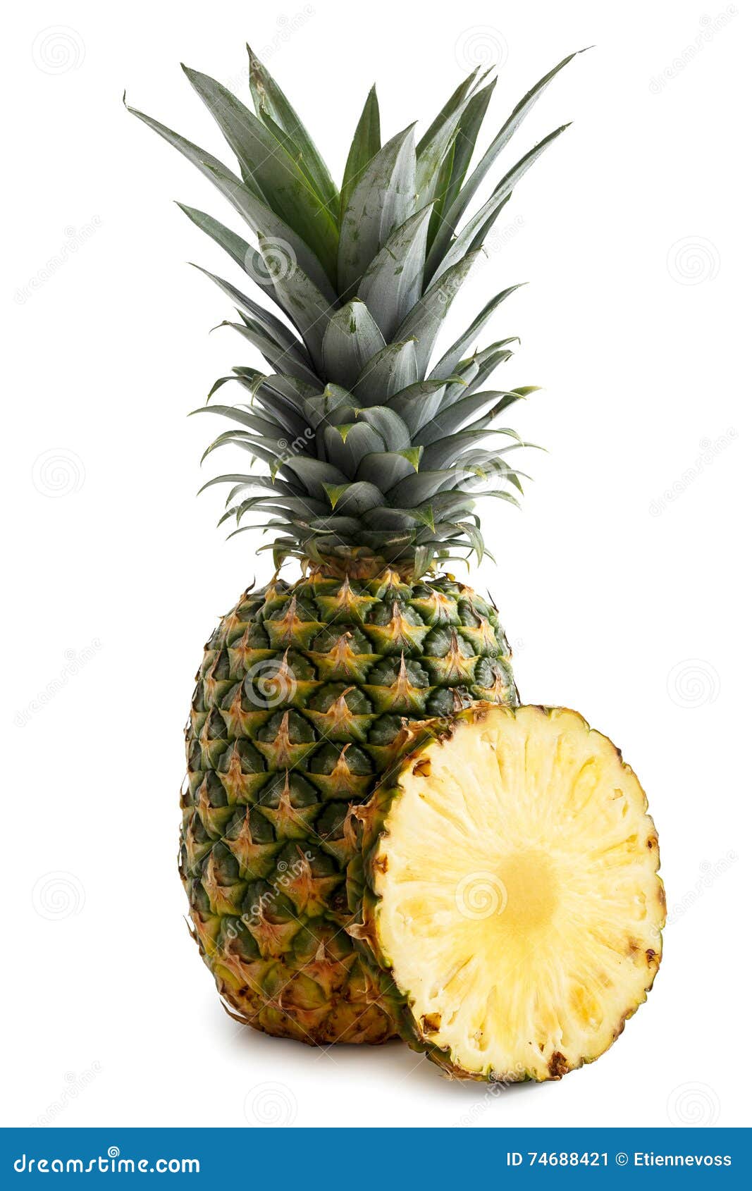 Whole Pineapple Isolated Standing on White. Stock Image Image of