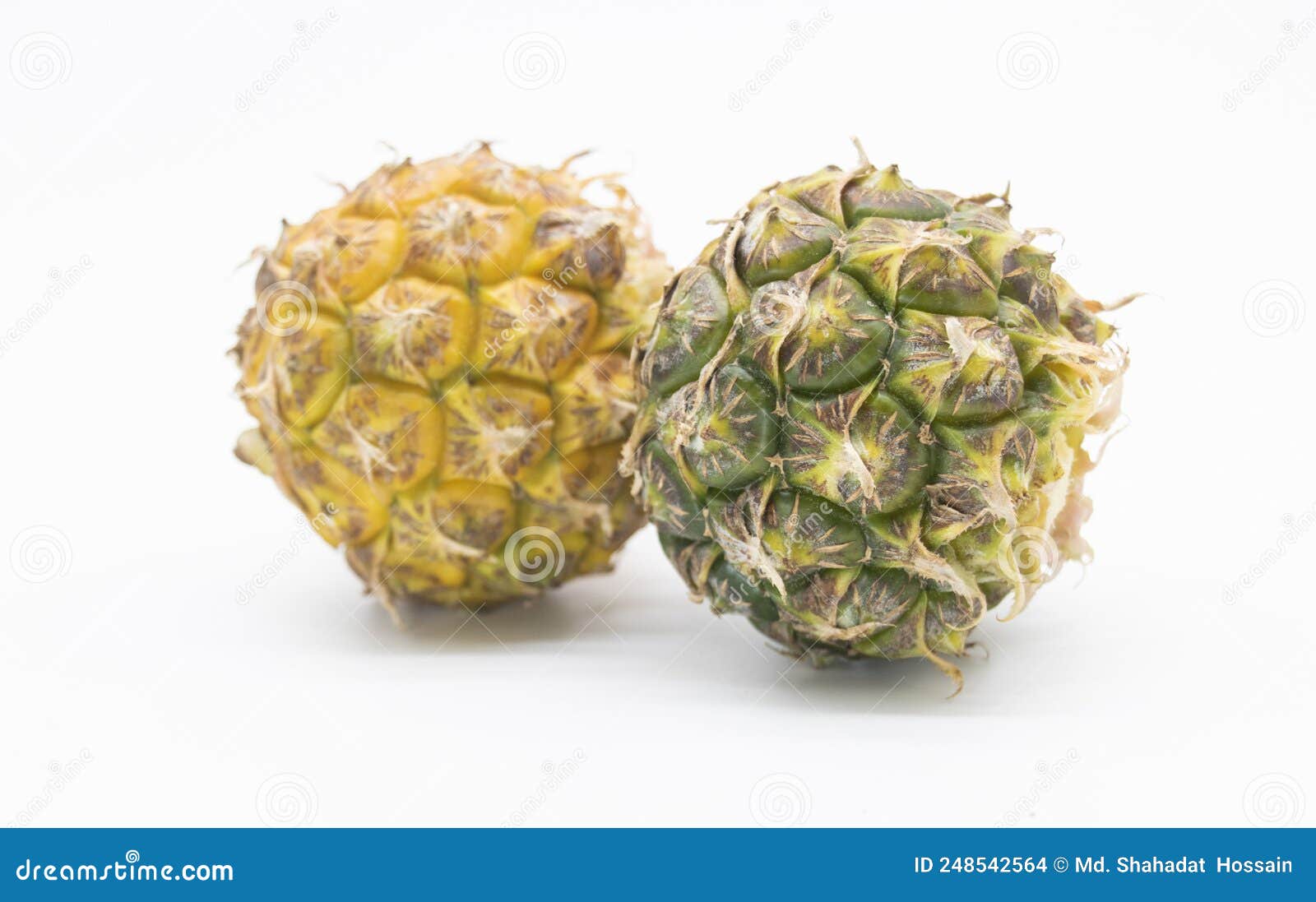 Whole Pineapple with Leaves Isolated on White Background Stock Photo