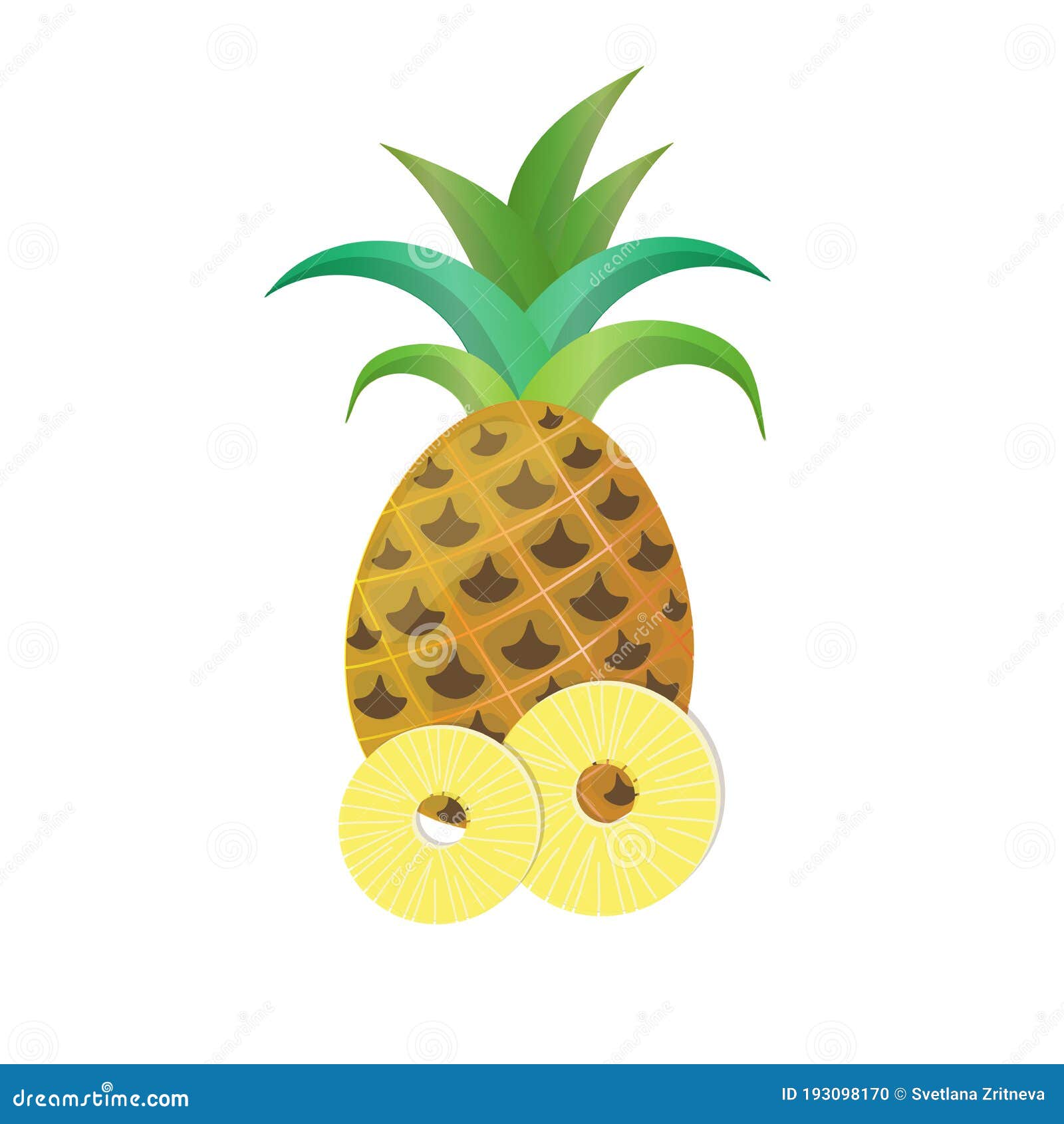Whole Pineapple with Ring Slices Isolated on White Background Stock