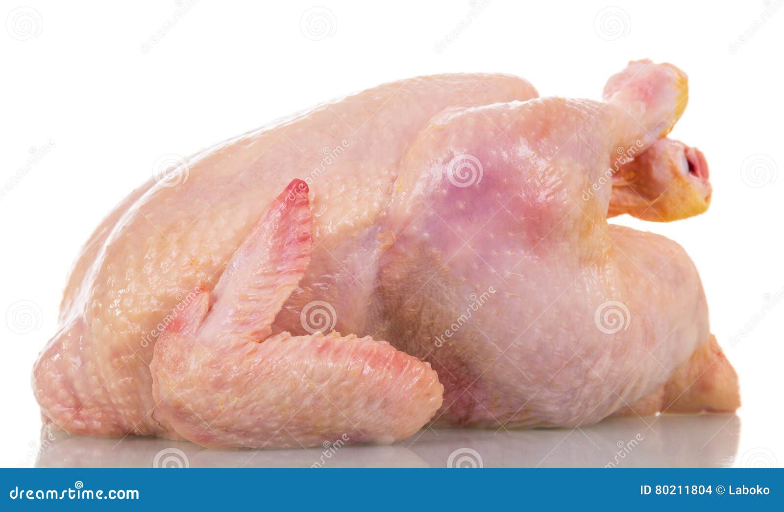 Whole Raw Chicken Carcass Closeup Isolated On White. Stock Photo