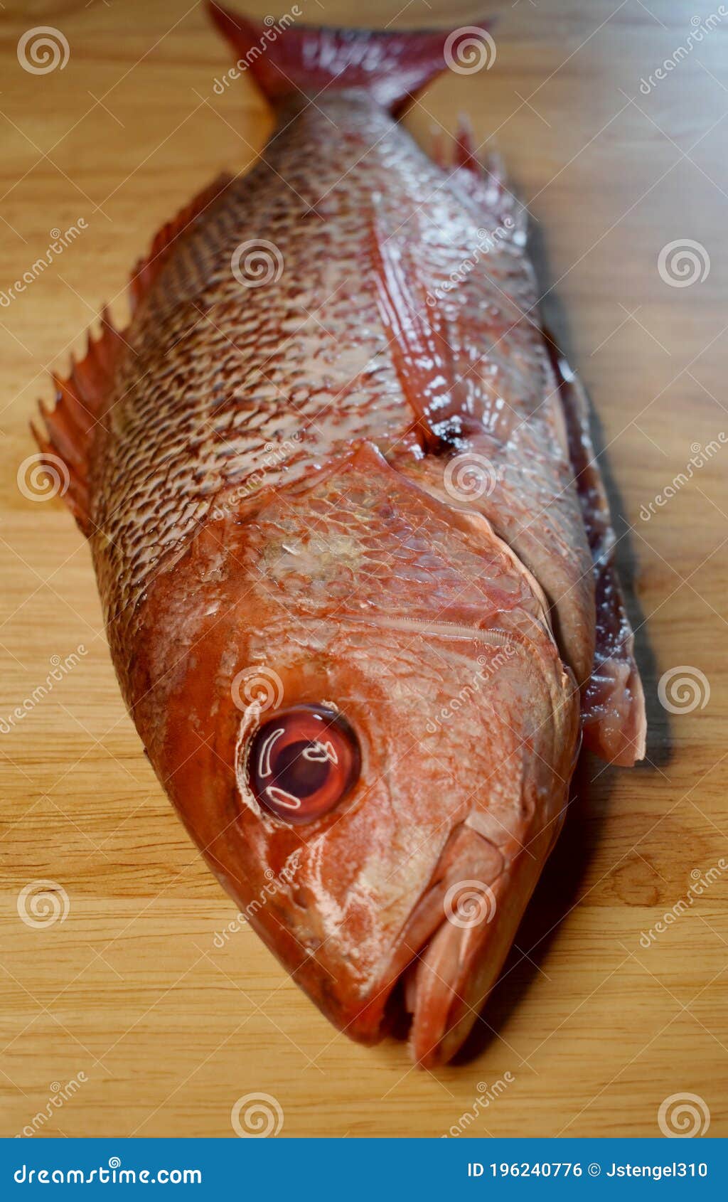 Red Snapper Teeth Stock Photos - Free & Royalty-Free Stock Photos from  Dreamstime