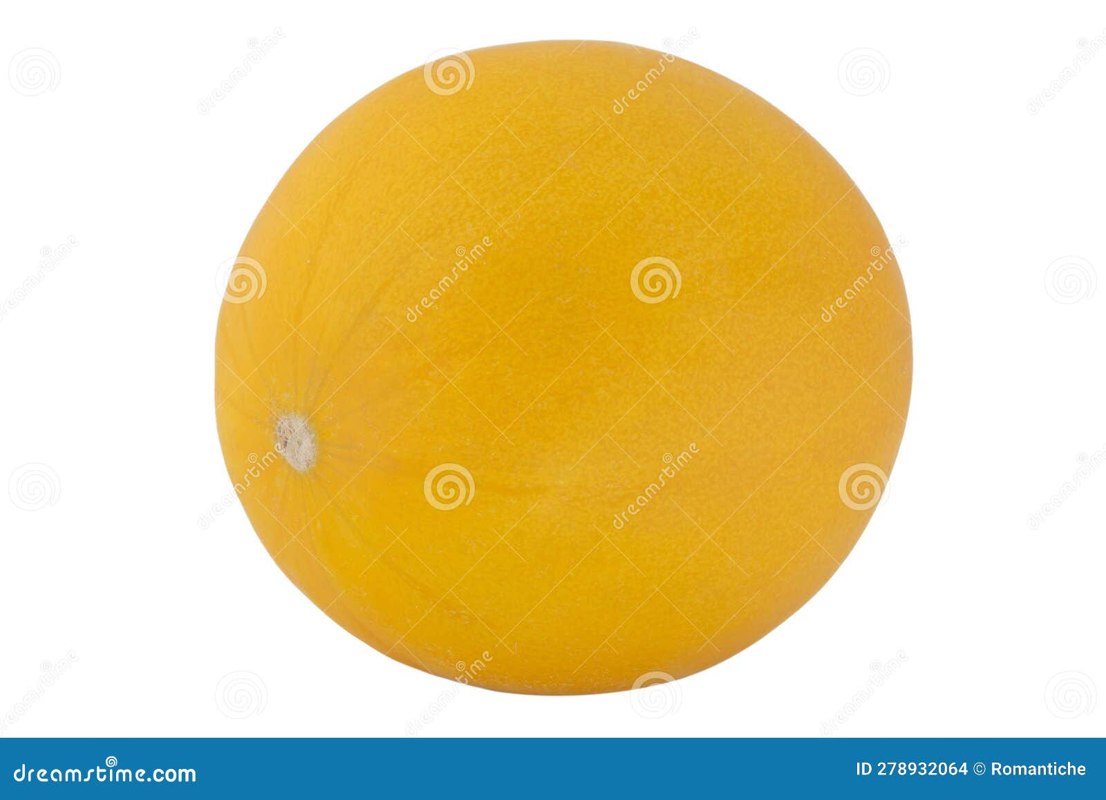 Whole Ripe Melon Isolated on White Stock Photo Image of organic