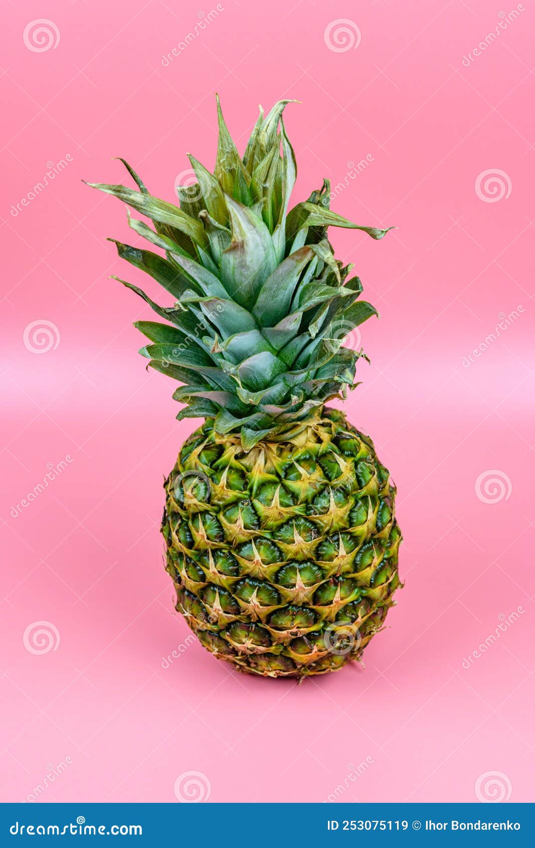 Whole Ripe Pineapple on the Pink Background Stock Image Image of