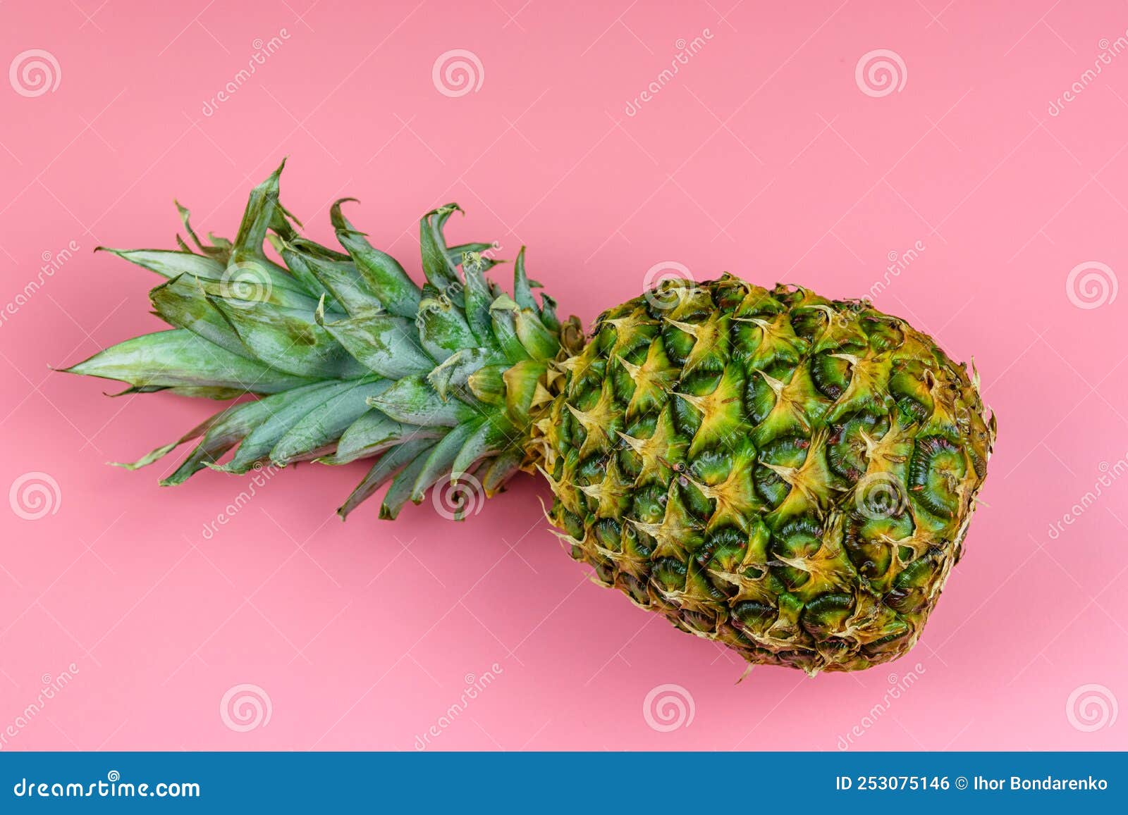 Whole Ripe Pineapple on the Pink Background Stock Photo Image of