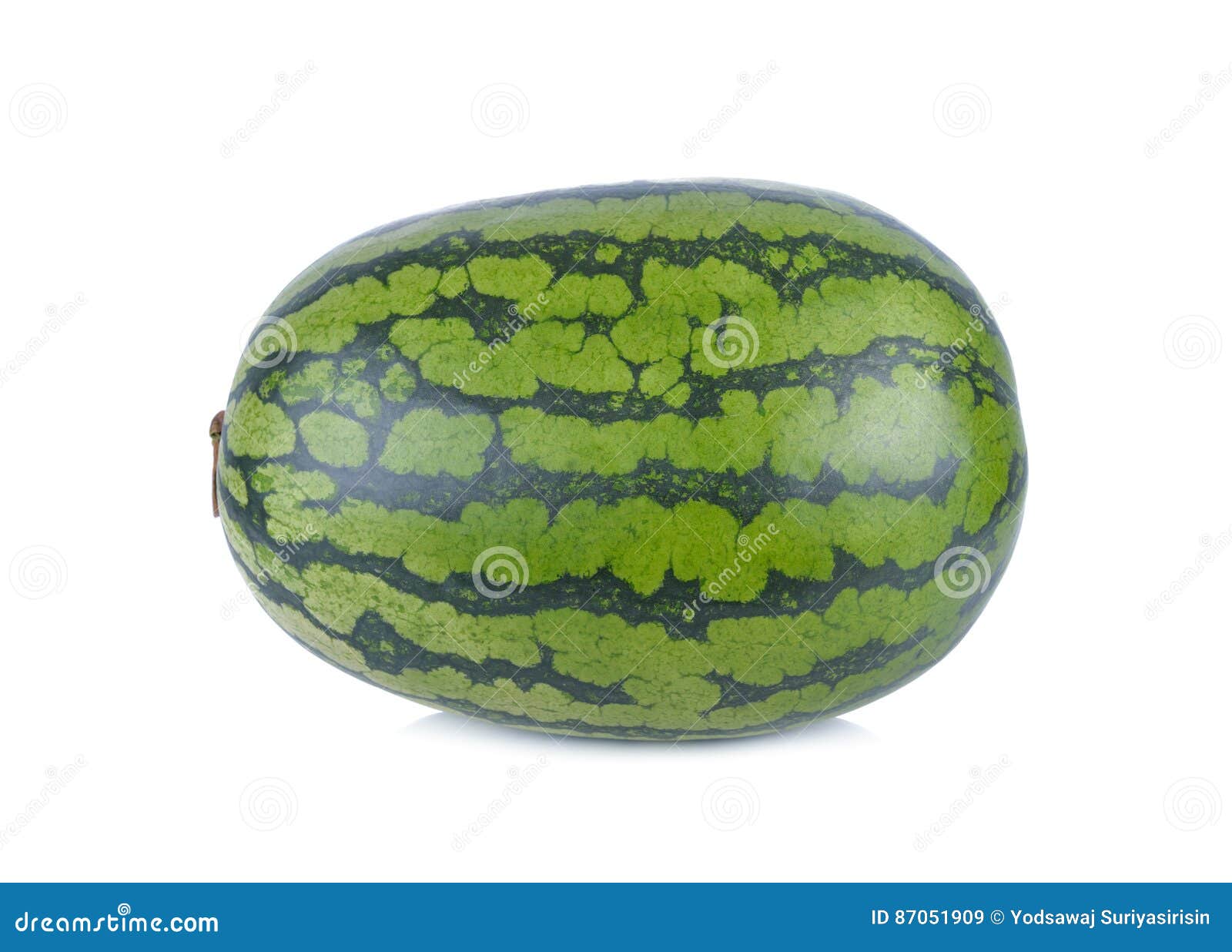 Whole Ripe Yellow Watermelon with Stem on White Background Stock Image