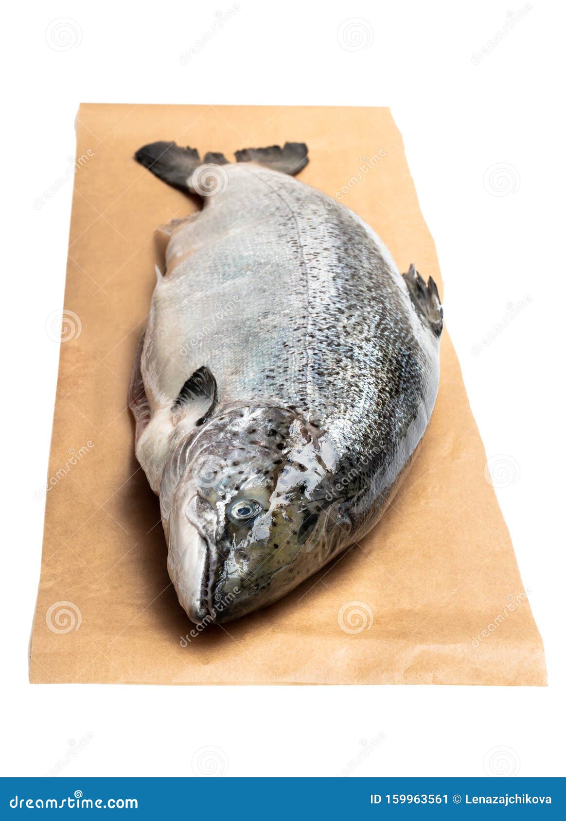 Whole Salmon on Baking Paper Isolated on White Stock Image Image of