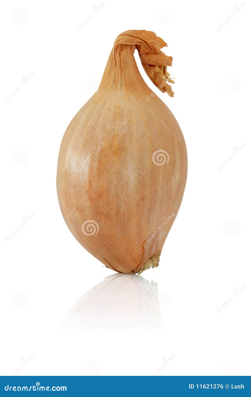 7,871 Bunch Shallot Royalty-Free Images, Stock Photos & Pictures