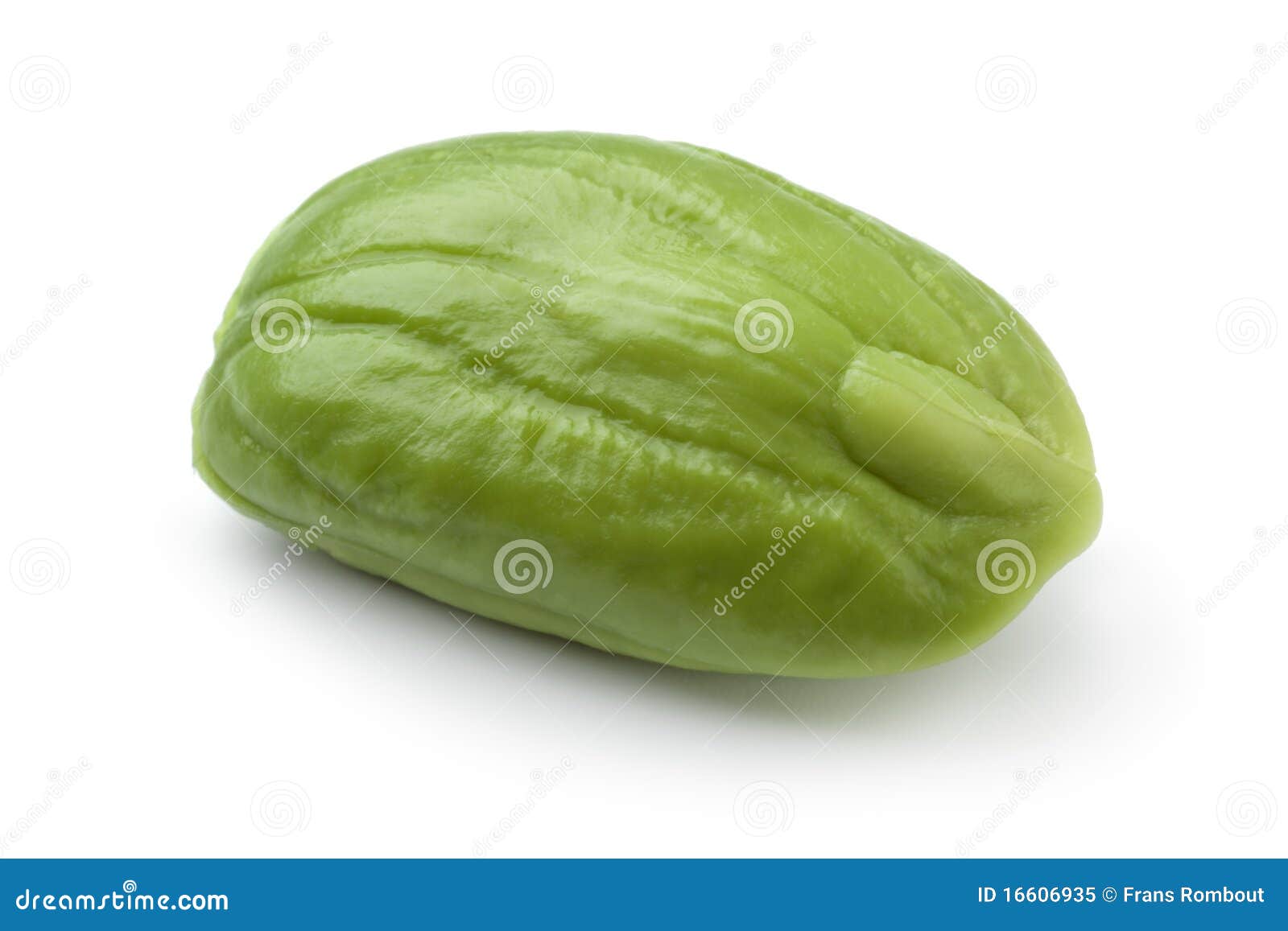 Whole single bitter bean stock image. Image of horizontal 16606935