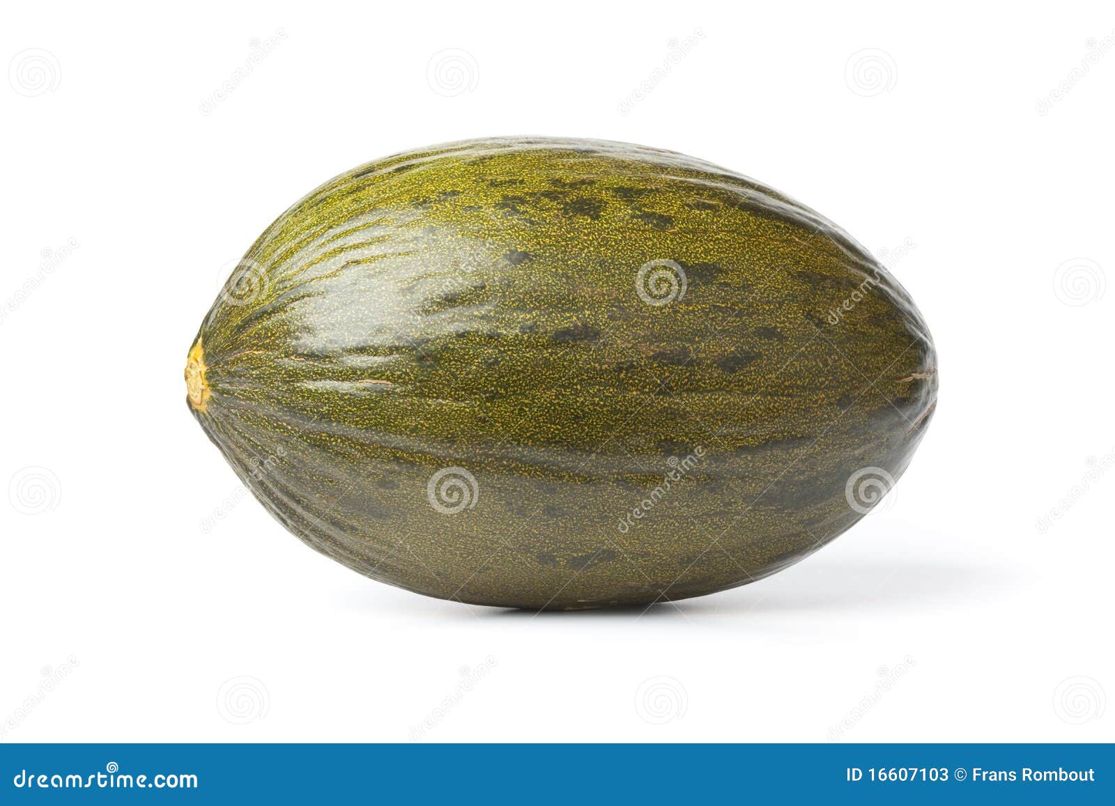 whole single piel de sapo melon