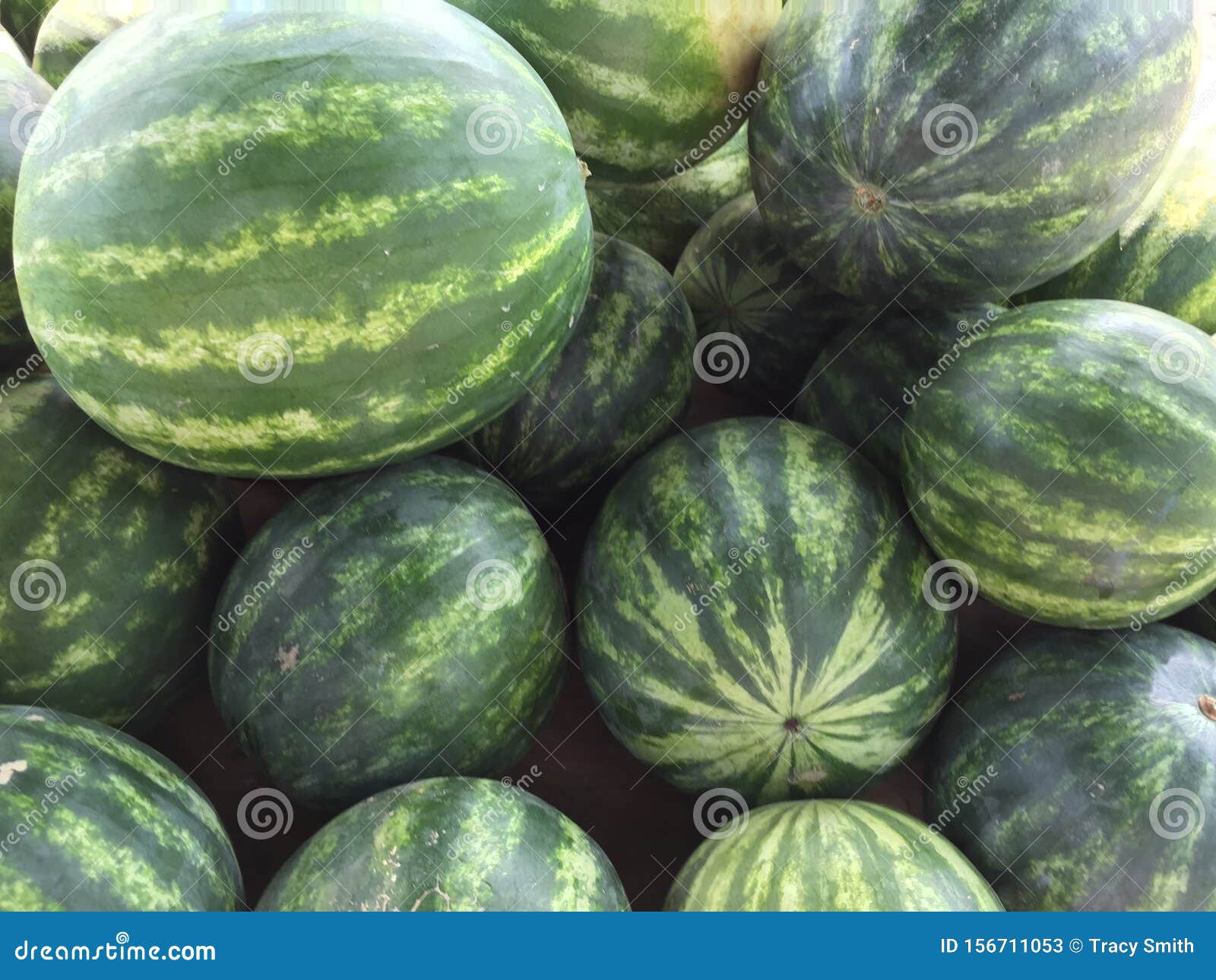 Whole Sized Green Watermelons In Bin At Farm Stand. Royalty-Free Stock ...