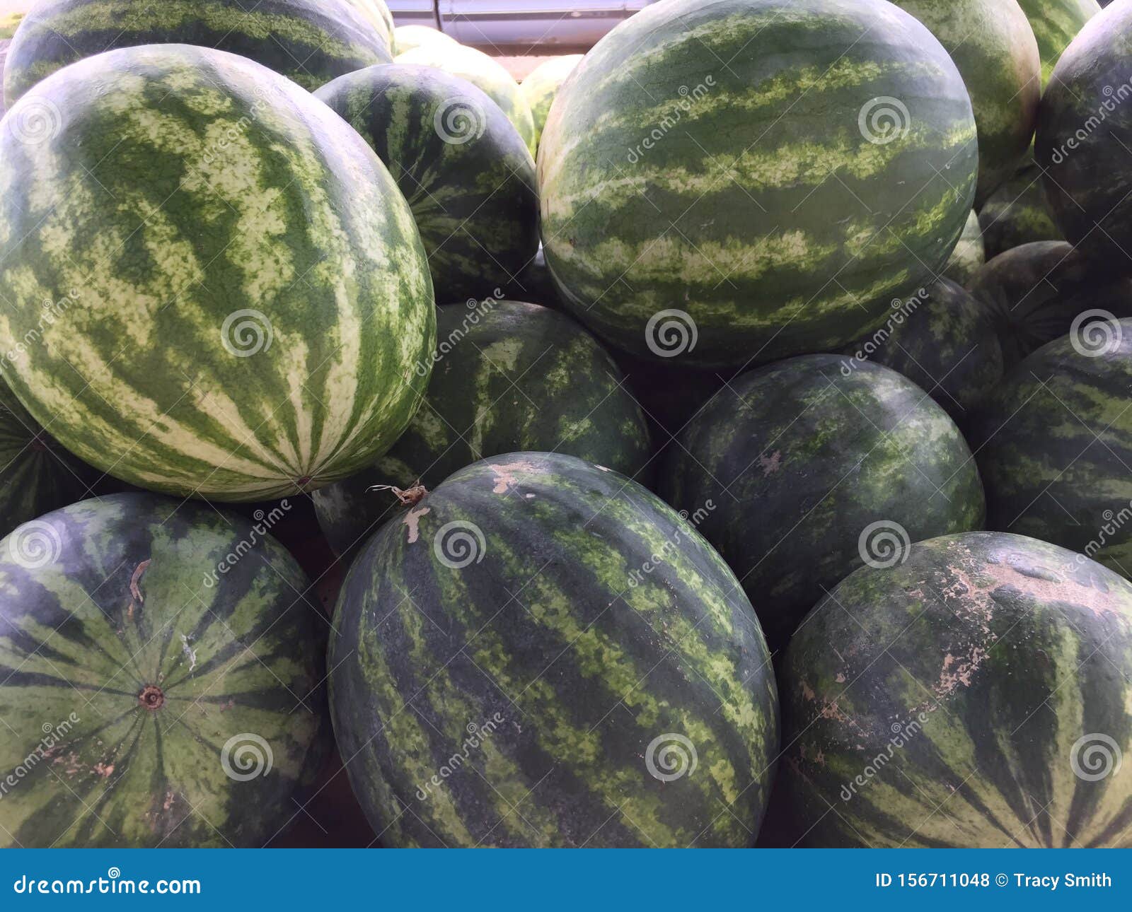 Whole Sized Green Watermelons In Bin At Farm Stand. Royalty-Free Stock ...